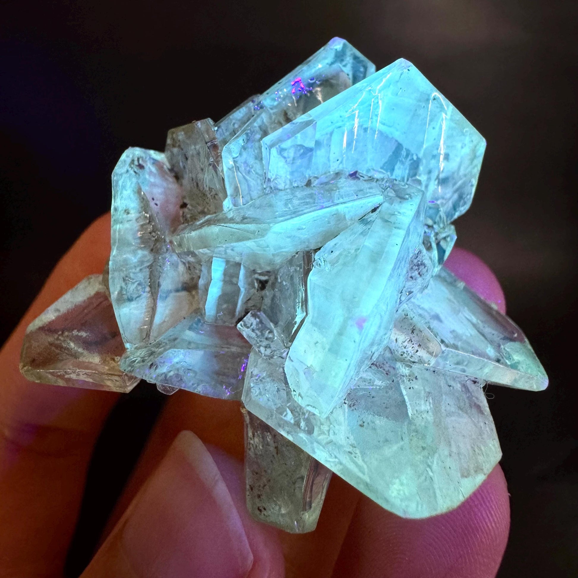 Golden Selenite Rosette | Fluorescent UV Reactive Gypsum Crystal