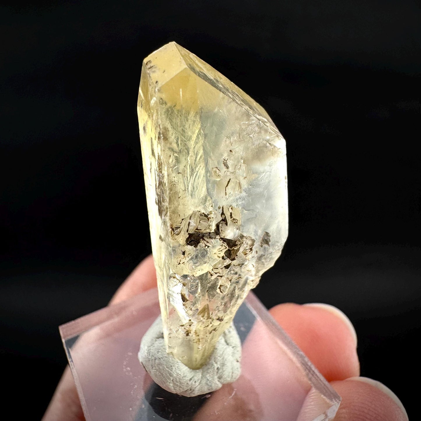 Golden Selenite Blade | Fluorescent UV Reactive Gypsum Crystal