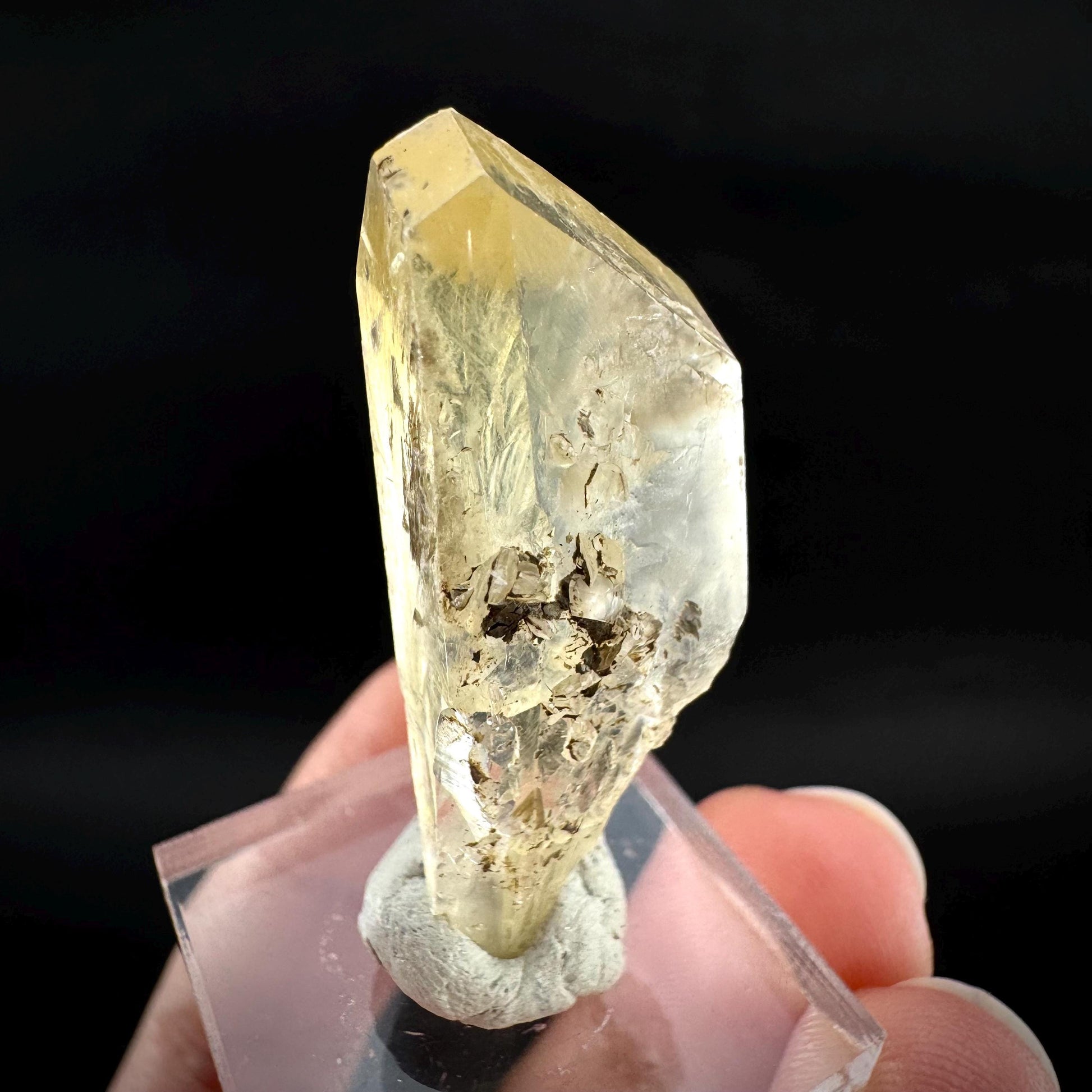 Golden Selenite Blade | Fluorescent UV Reactive Gypsum Crystal