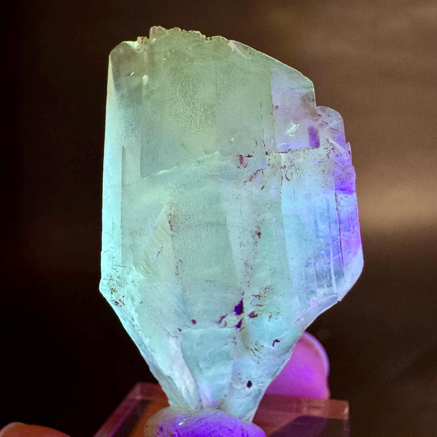 Golden Selenite Blade | Fluorescent UV Reactive Gypsum Crystal