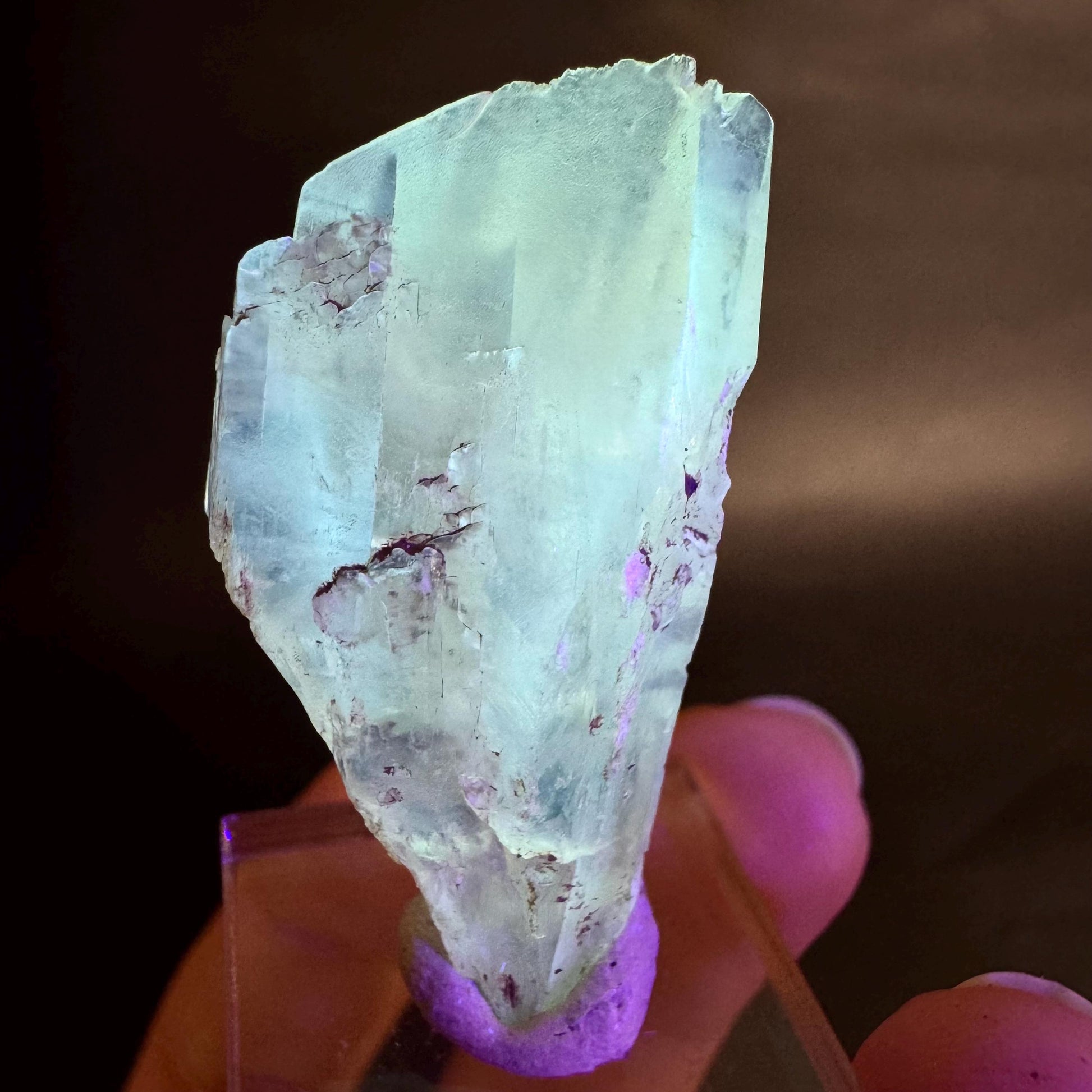 Golden Selenite Blade | Fluorescent UV Reactive Gypsum Crystal