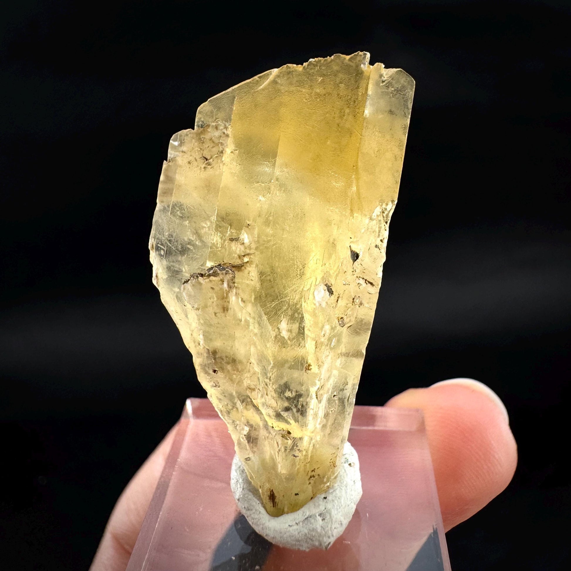 Golden Selenite Blade | Fluorescent UV Reactive Gypsum Crystal