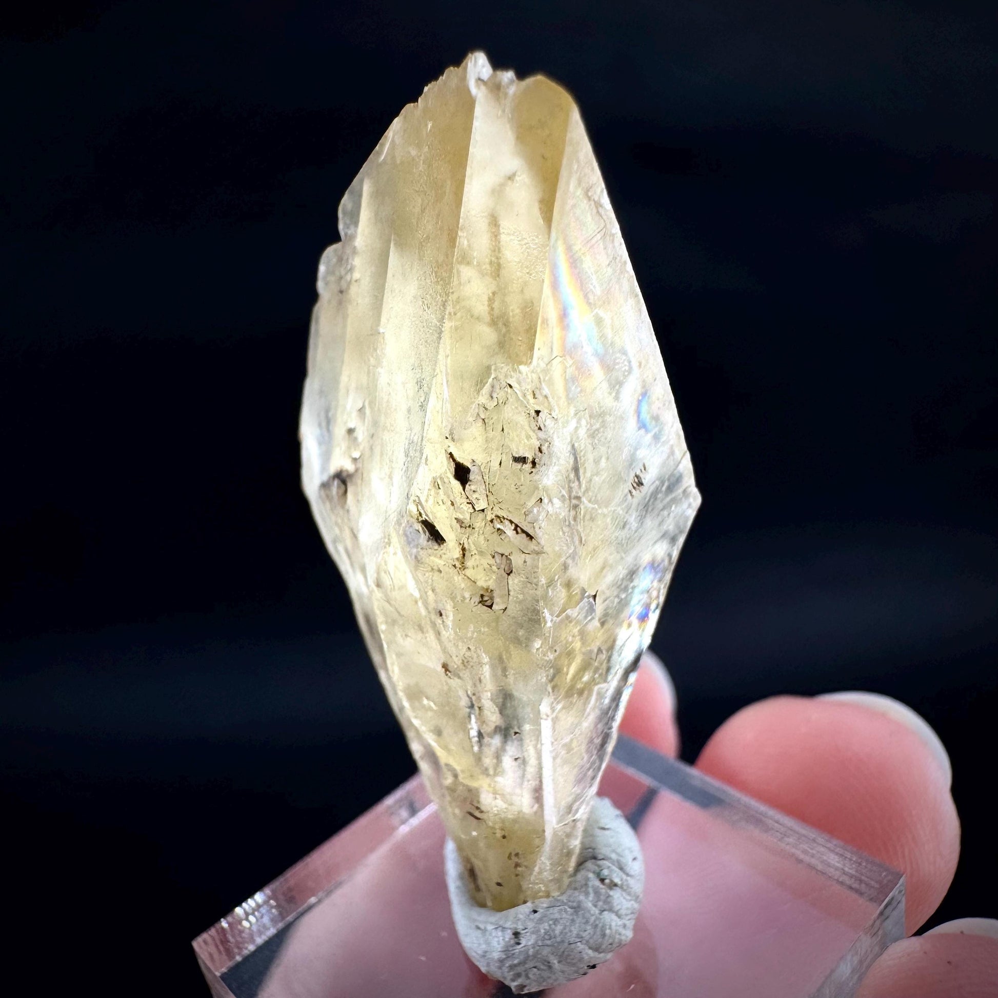 Golden Selenite Blade | Fluorescent UV Reactive Gypsum Crystal
