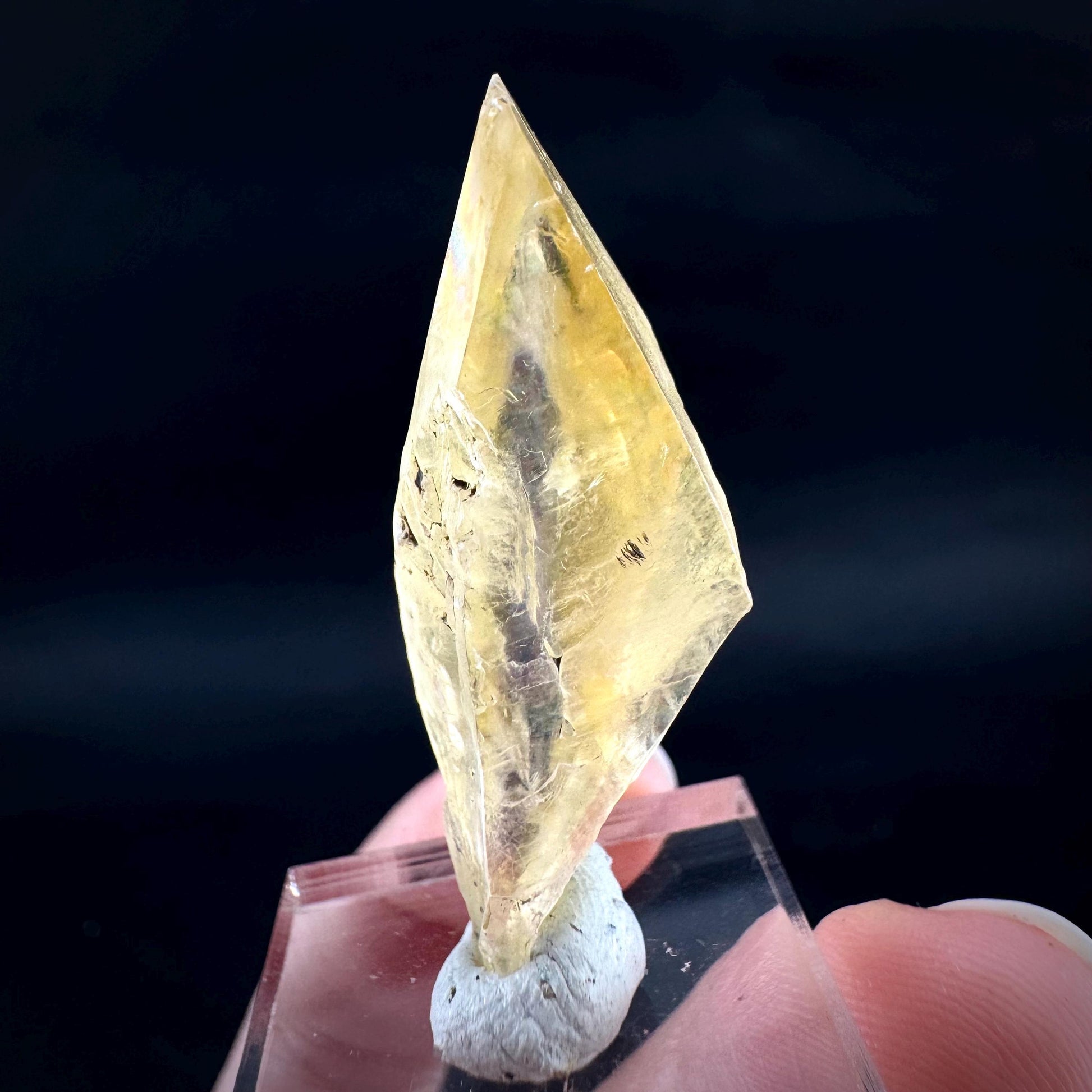 Golden Selenite Blade | Fluorescent UV Reactive Gypsum Crystal