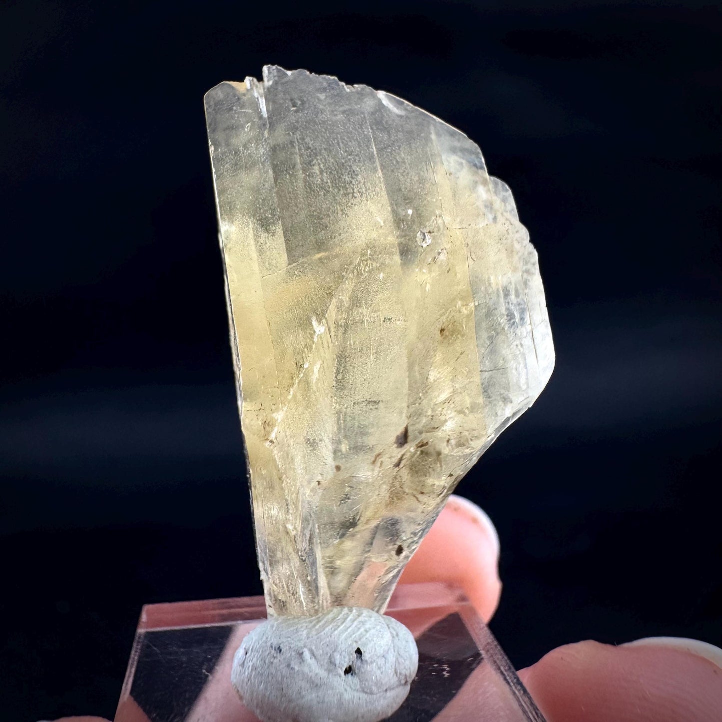 Golden Selenite Blade | Fluorescent UV Reactive Gypsum Crystal