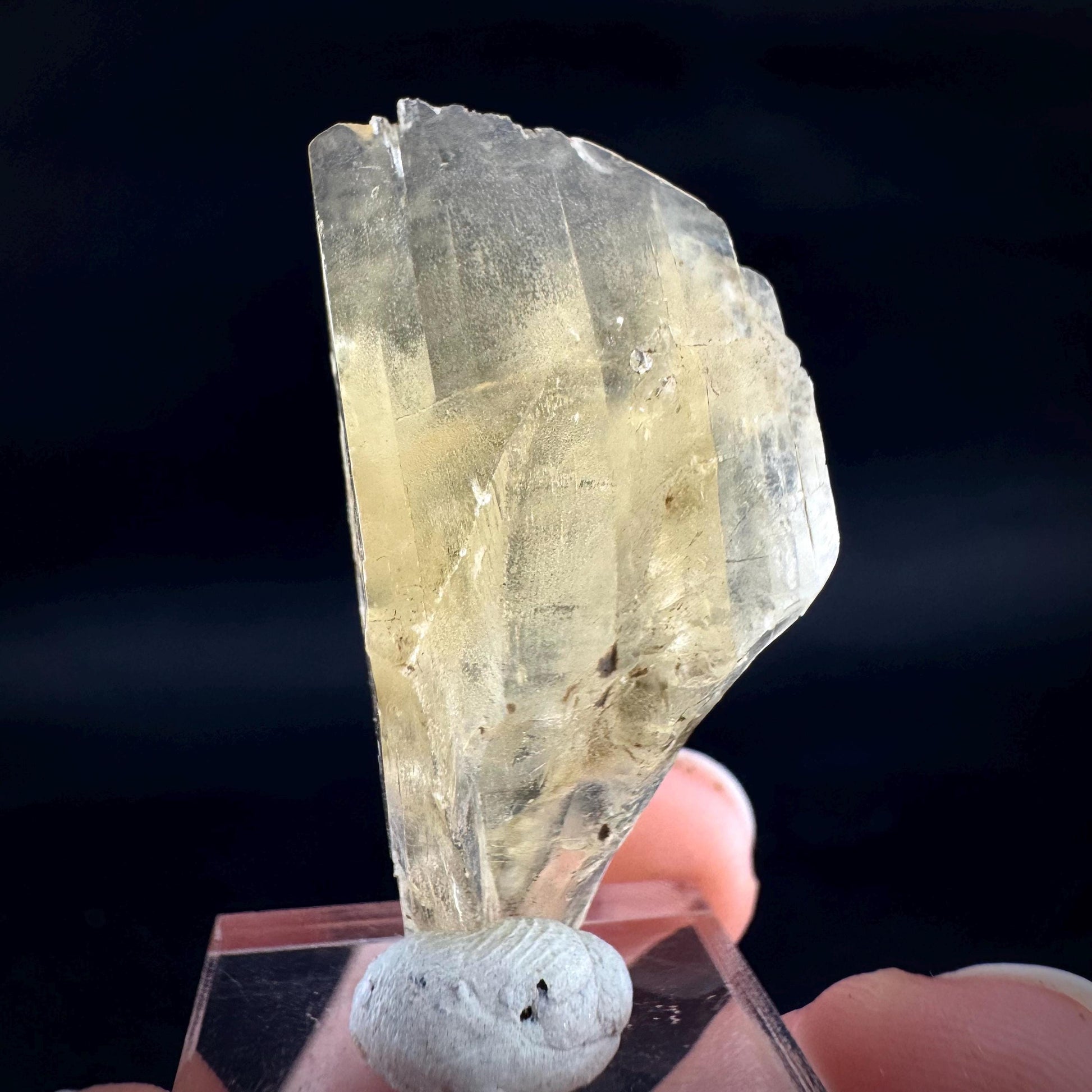 Golden Selenite Blade | Fluorescent UV Reactive Gypsum Crystal