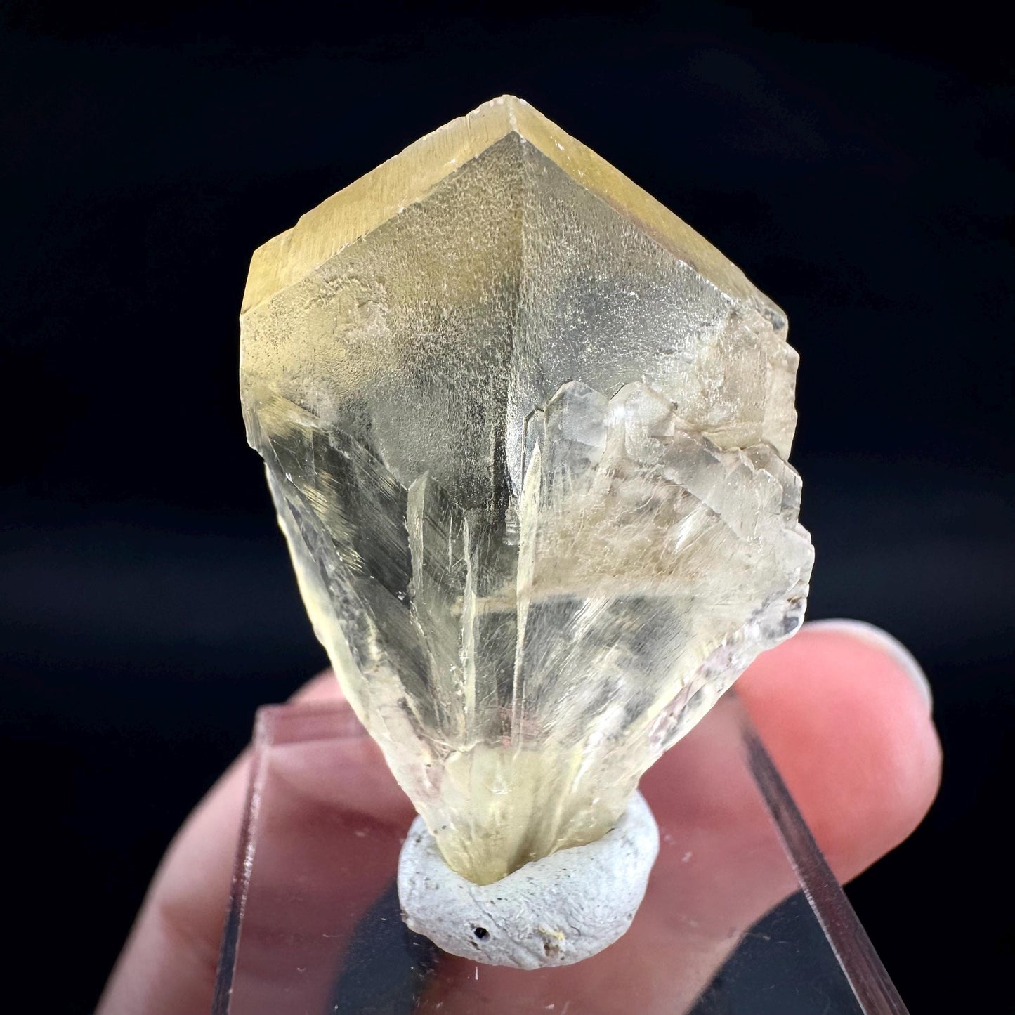 Golden Selenite Blade | Fluorescent UV Reactive Gypsum Crystal