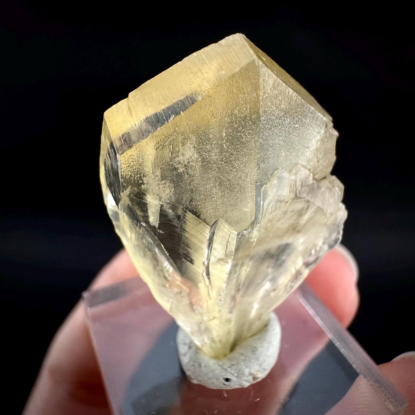 Golden Selenite Blade | Fluorescent UV Reactive Gypsum Crystal