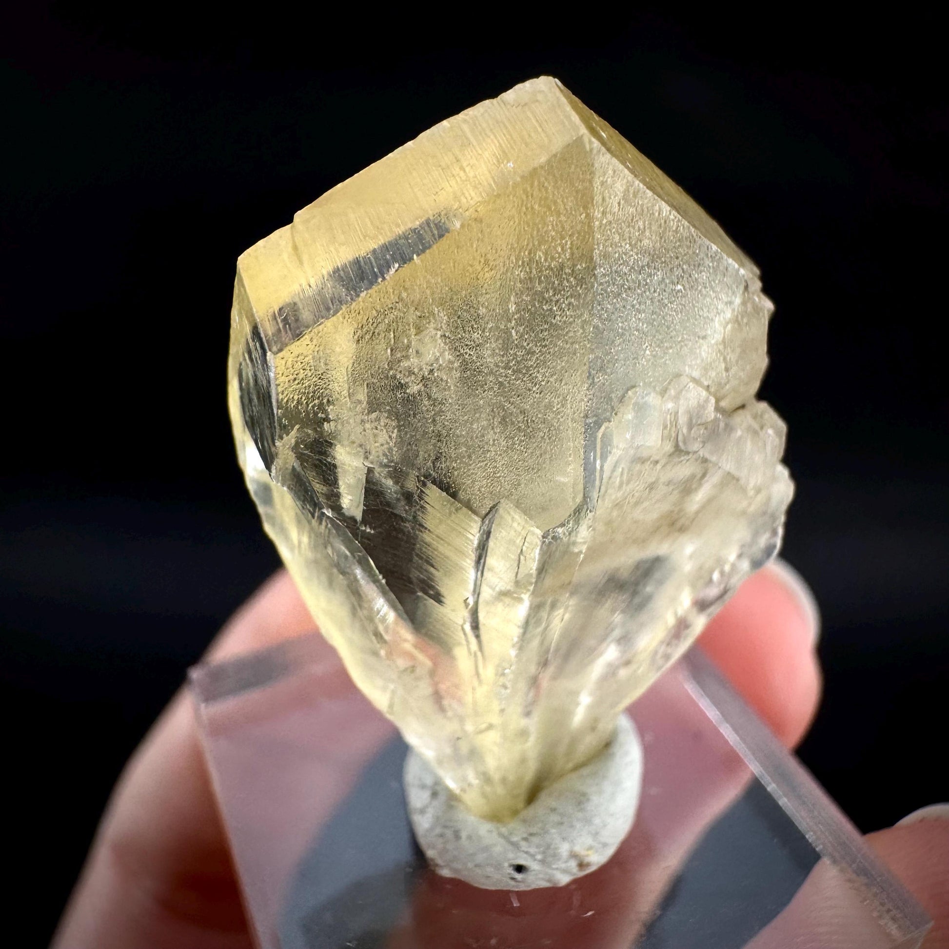 Golden Selenite Blade | Fluorescent UV Reactive Gypsum Crystal