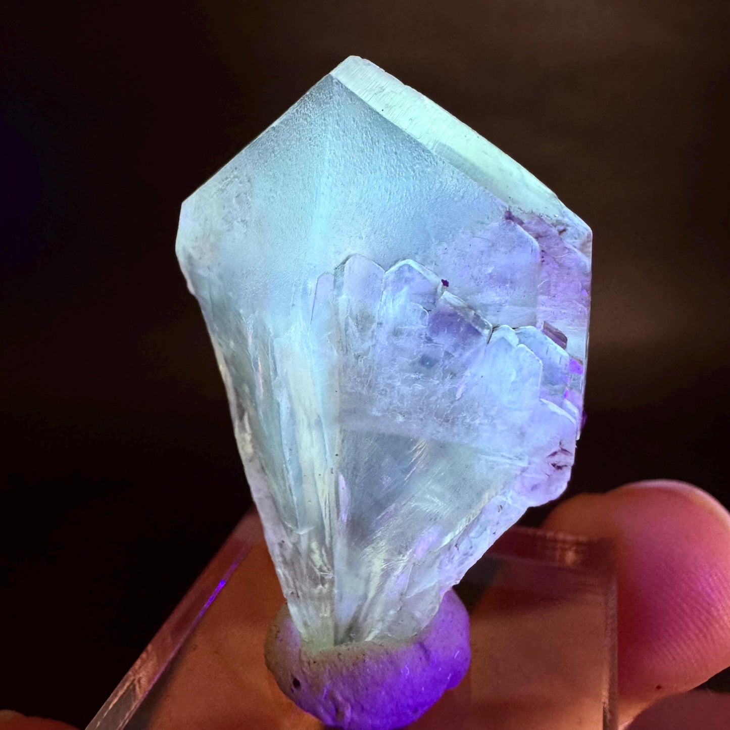 Golden Selenite Blade | Fluorescent UV Reactive Gypsum Crystal