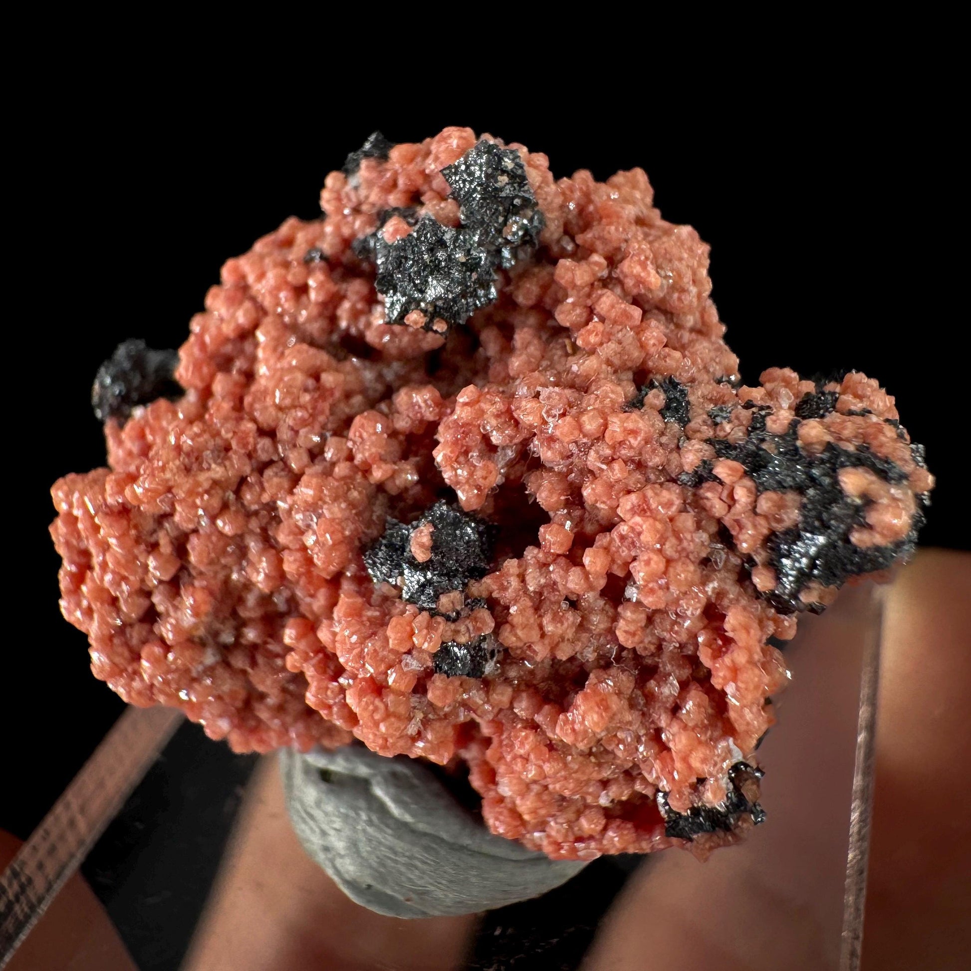 Hausmannite on Andradite Garnet | rare mineral specimen from South Africa