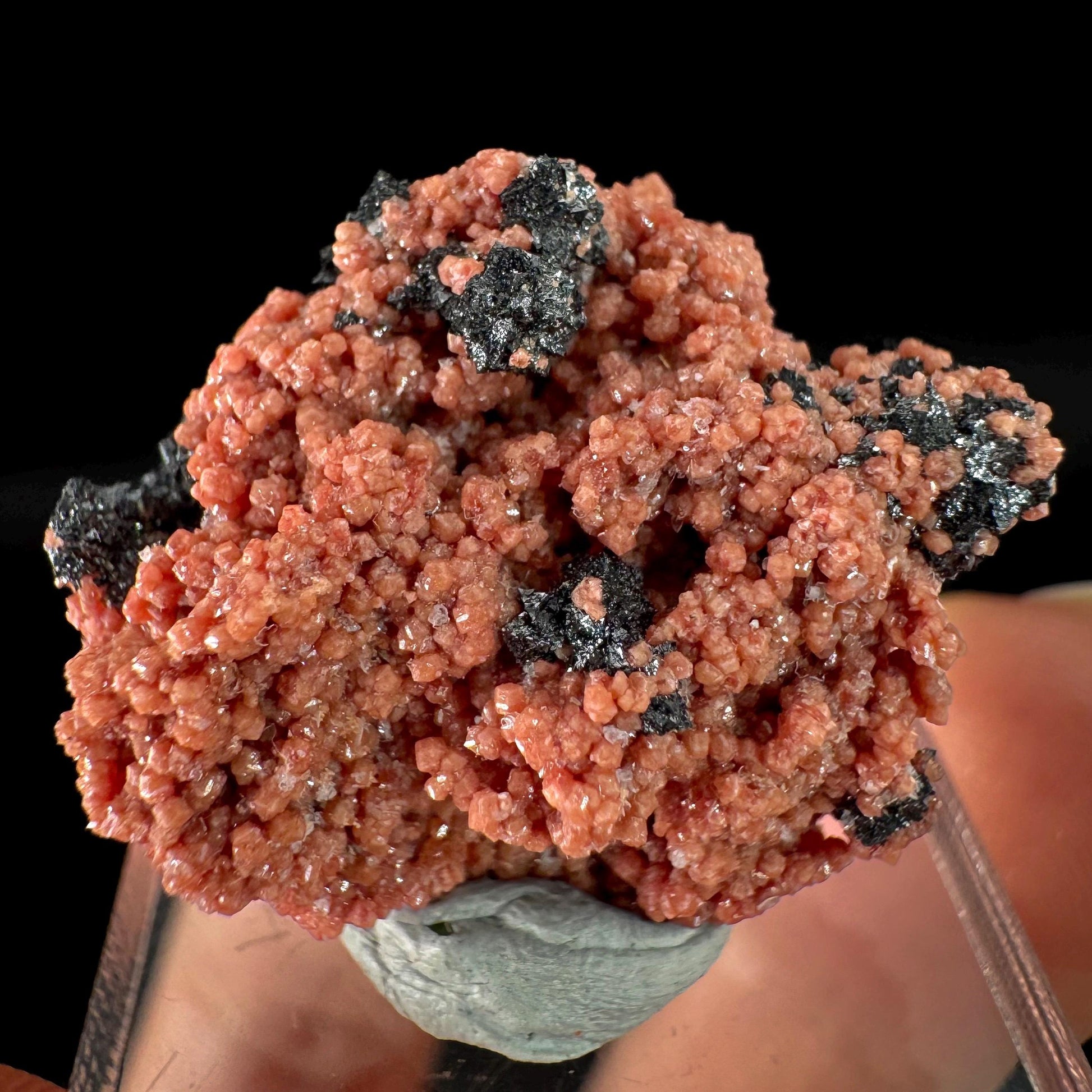 Hausmannite on Andradite Garnet | rare mineral specimen from South Africa