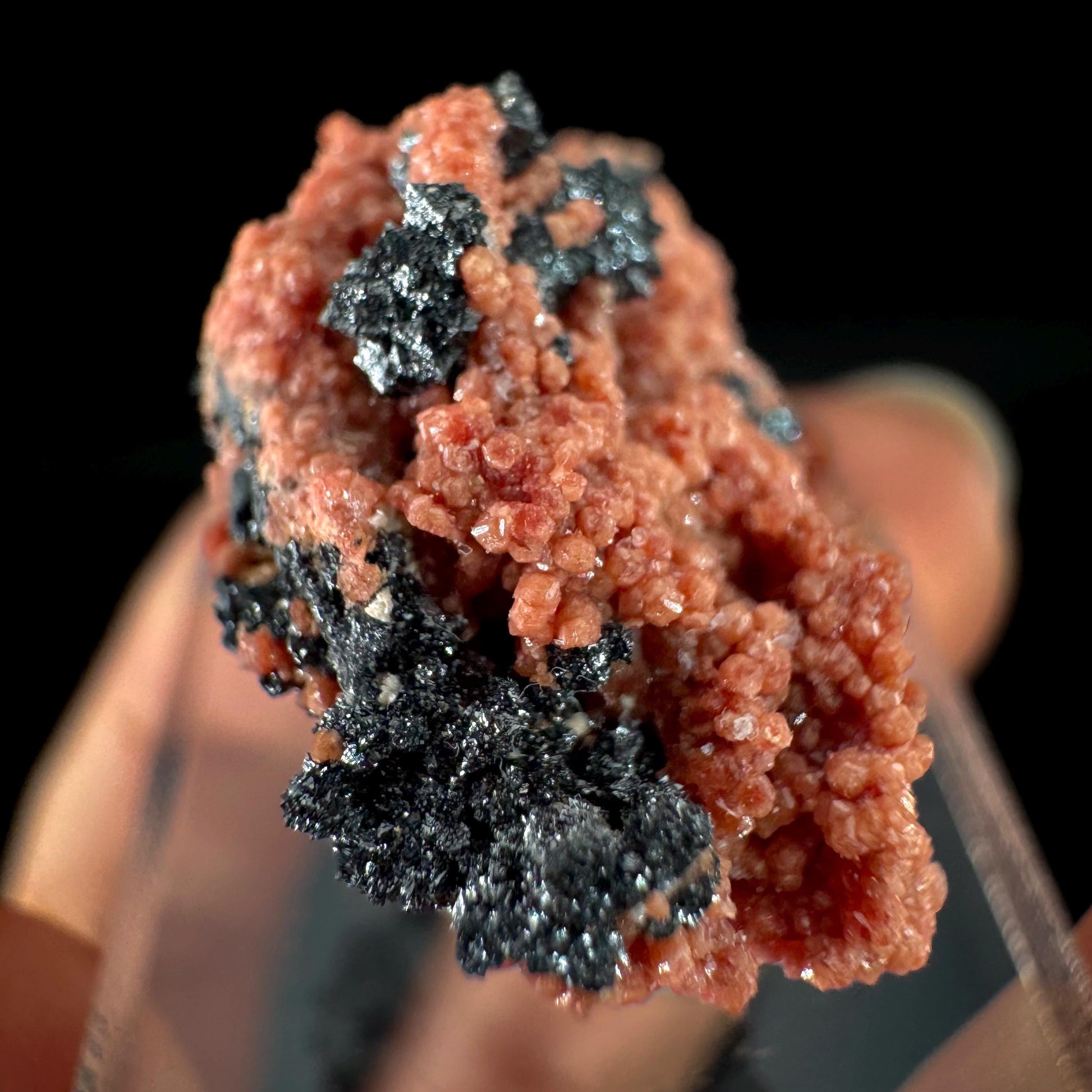 Hausmannite on Andradite Garnet | rare mineral specimen from South Africa