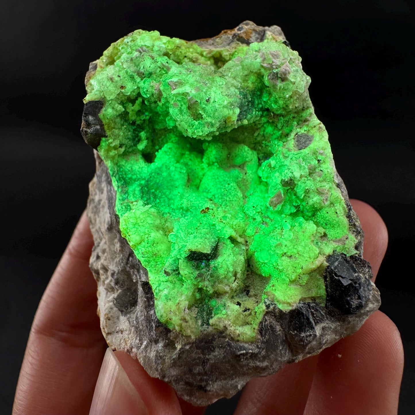 UV Reactive Hyalite Opal | Fluorescent Mineral Specimen from Namibia