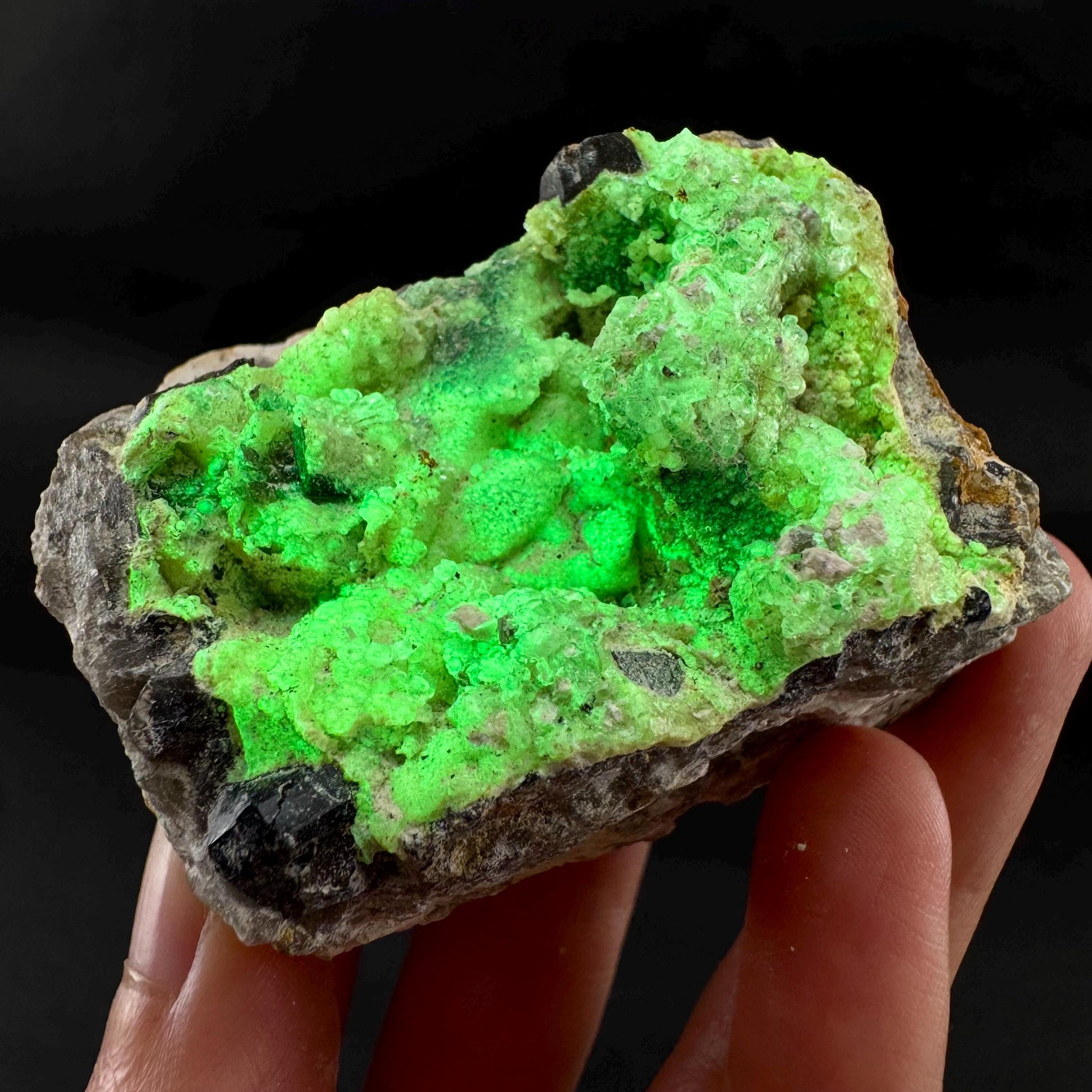 UV Reactive Hyalite Opal | Fluorescent Mineral Specimen from Namibia