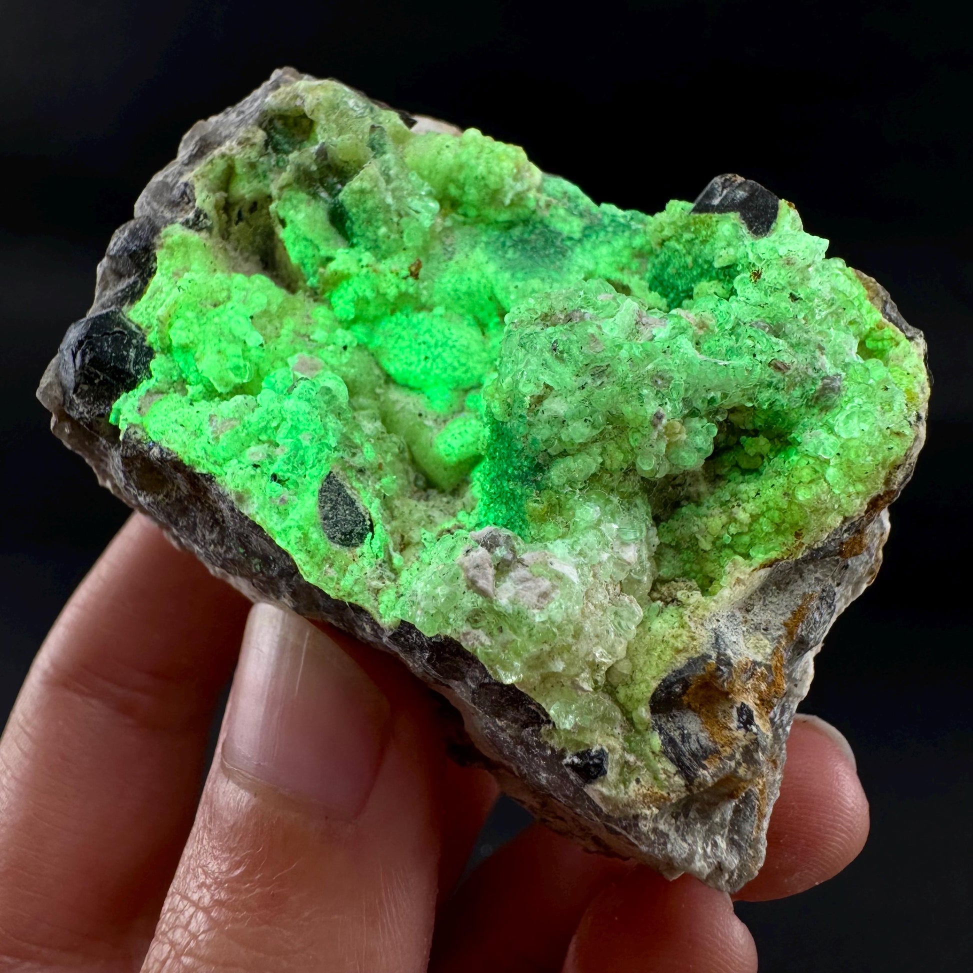 UV Reactive Hyalite Opal | Fluorescent Mineral Specimen from Namibia