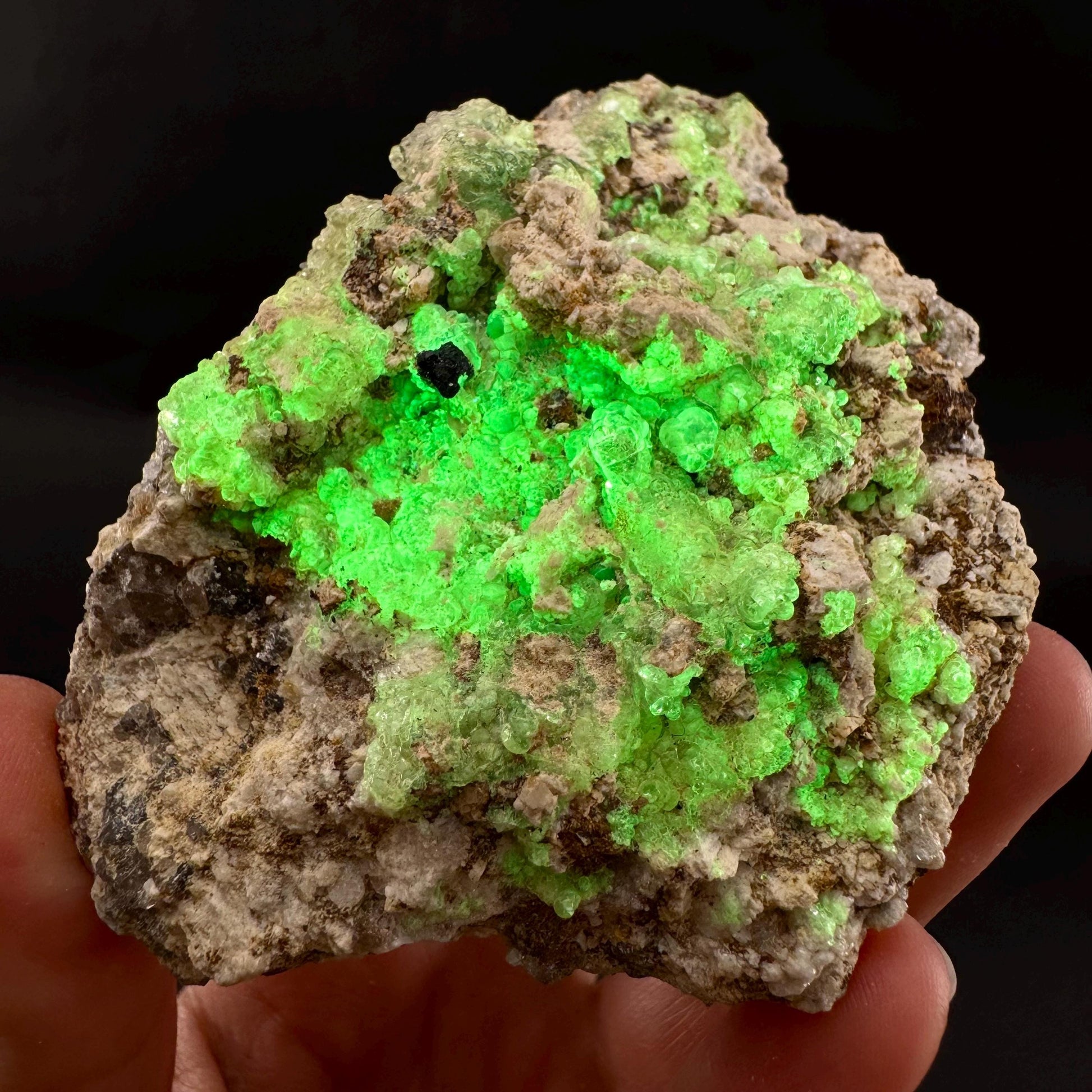 UV Reactive Hyalite Opal | Fluorescent Mineral Specimen from Namibia