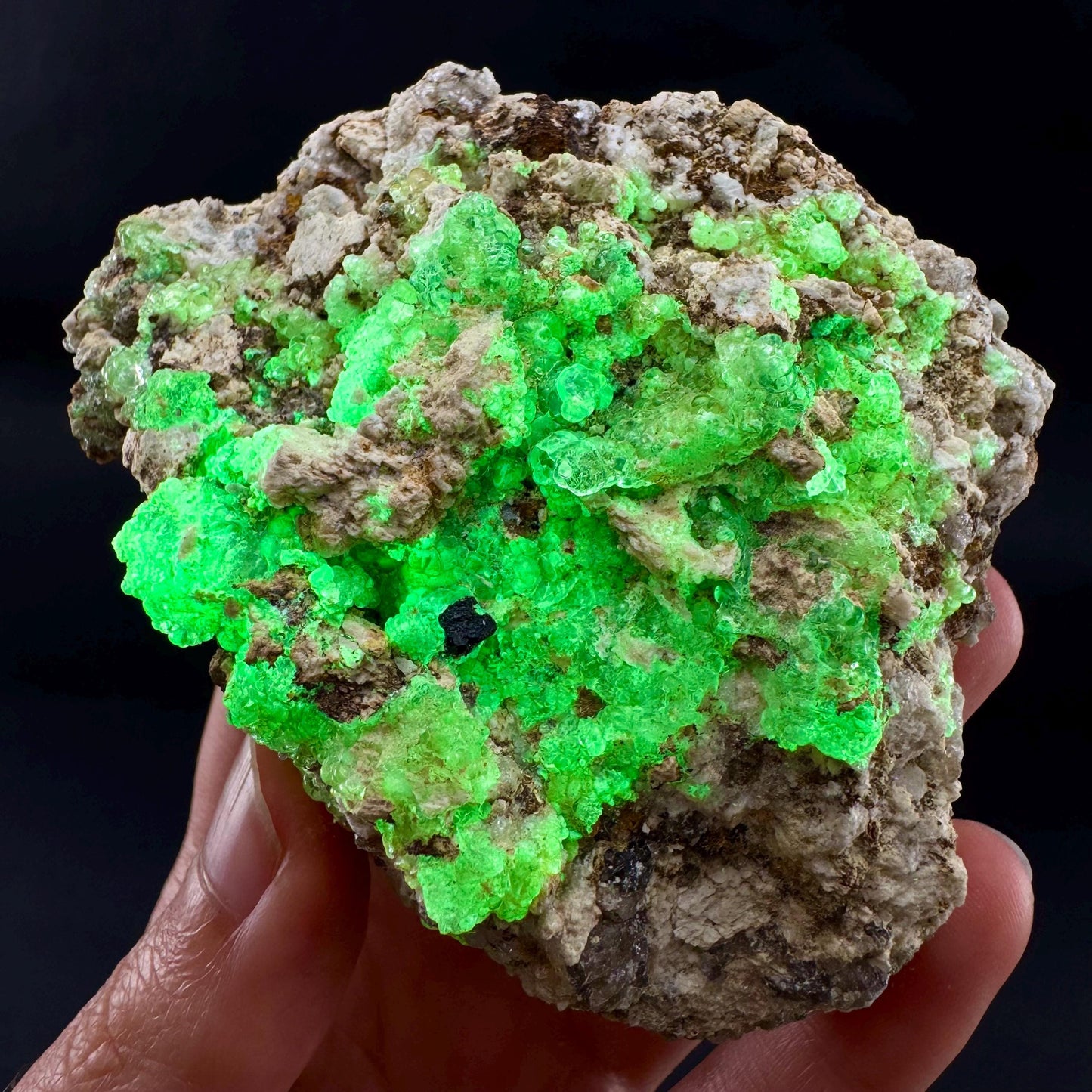 UV Reactive Hyalite Opal | Fluorescent Mineral Specimen from Namibia