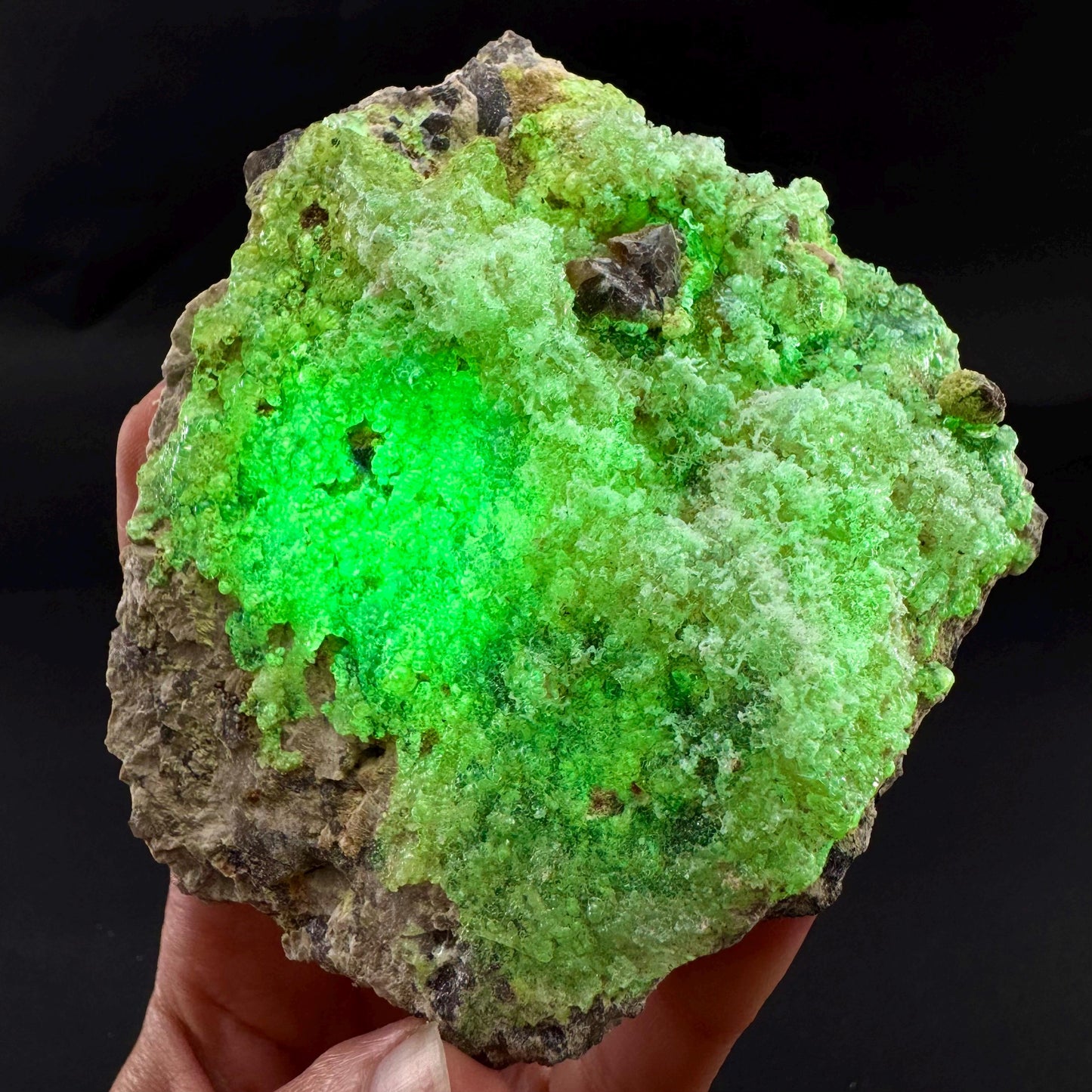 UV Reactive Hyalite Opal | Fluorescent Mineral Specimen from Namibia