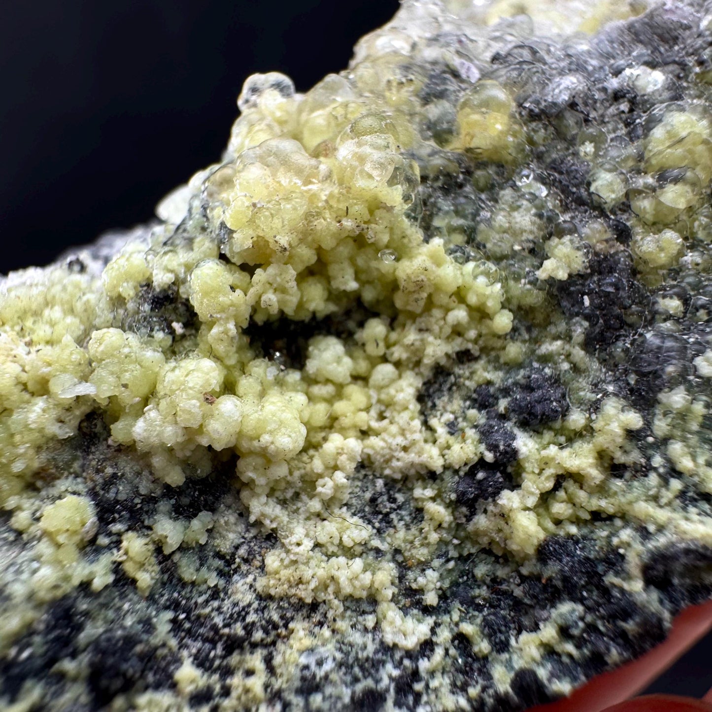 UV Reactive Hyalite Opal | Fluorescent Mineral Specimen from Namibia