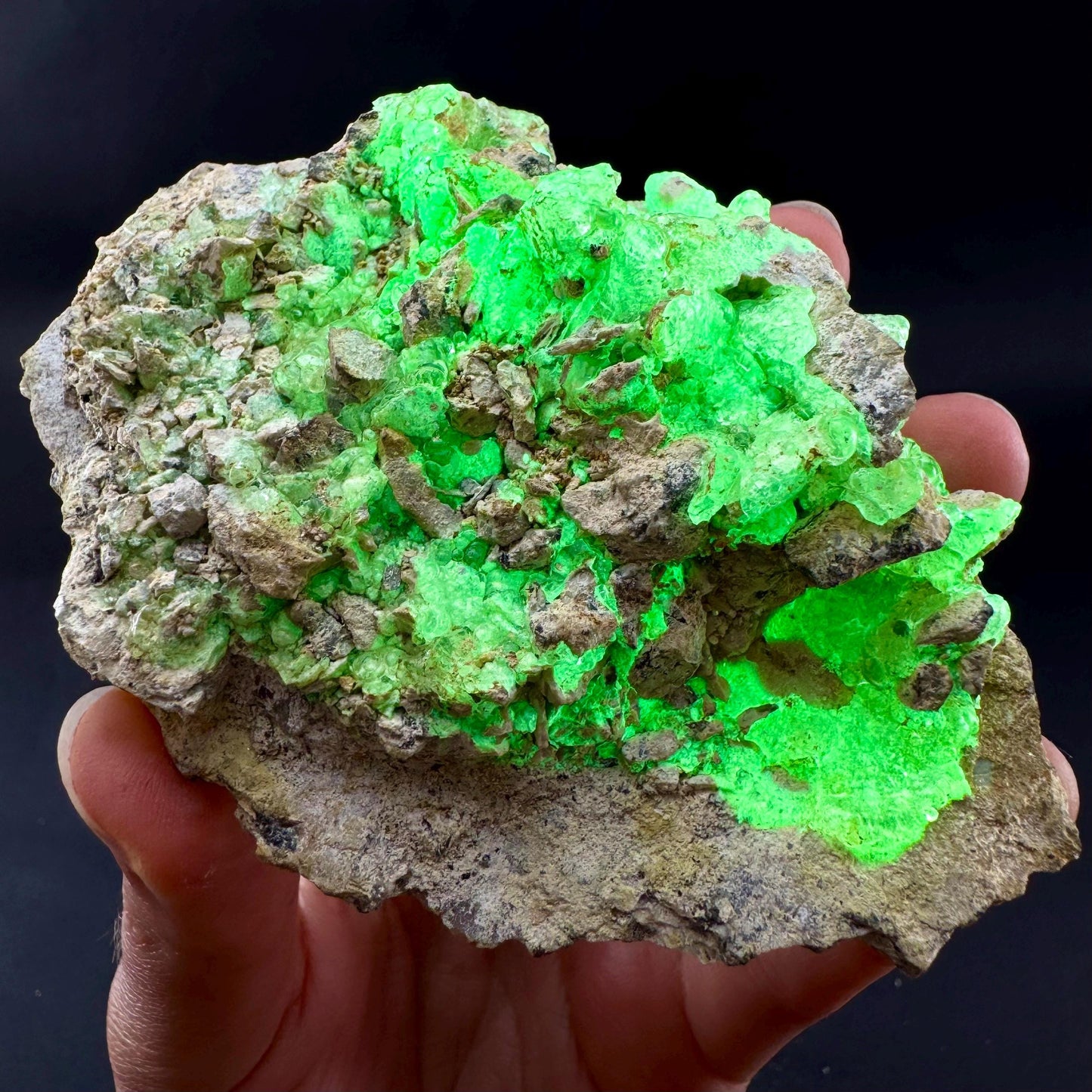 UV Reactive Hyalite Opal | Fluorescent Mineral Specimen from Namibia