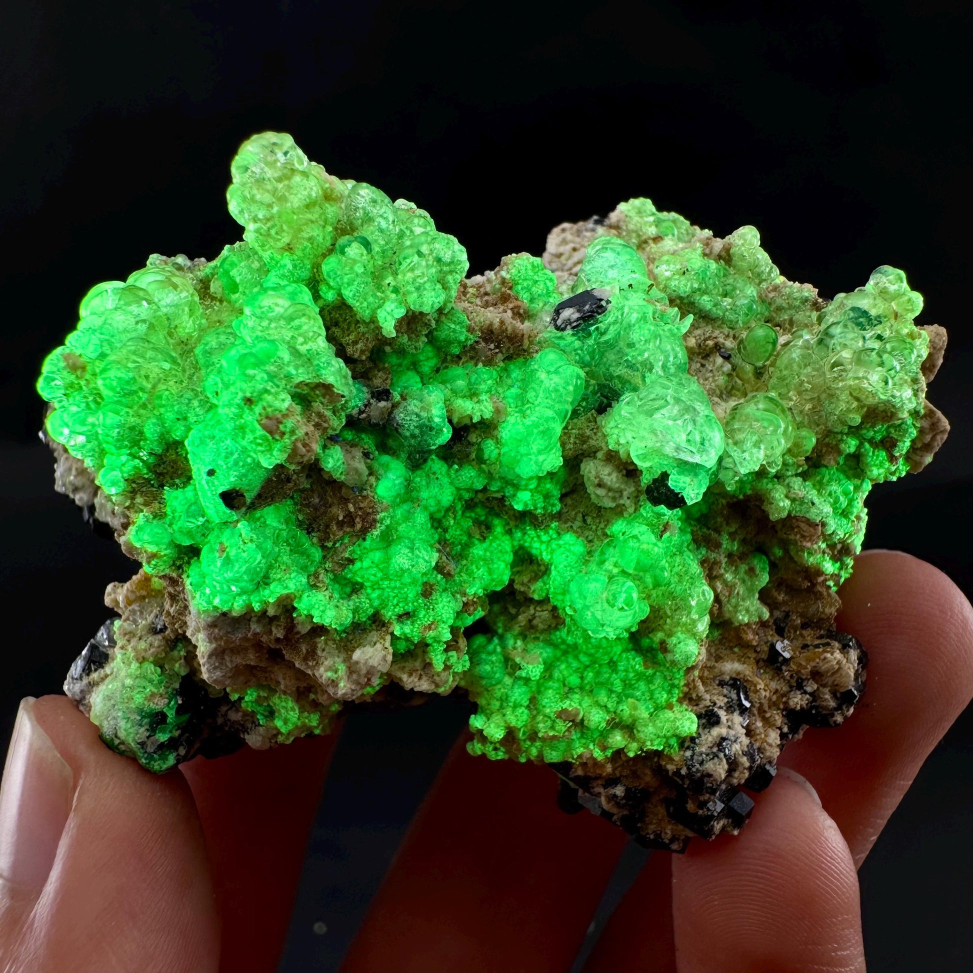 UV Reactive Hyalite Opal on Black Tourmaline | Fluorescent Mineral Specimen from Namibia