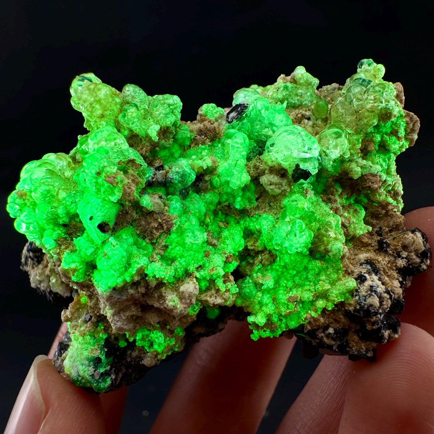 UV Reactive Hyalite Opal on Black Tourmaline | Fluorescent Mineral Specimen from Namibia