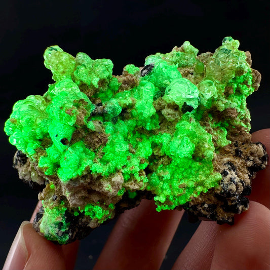UV Reactive Hyalite Opal on Black Tourmaline | Fluorescent Mineral Specimen from Namibia