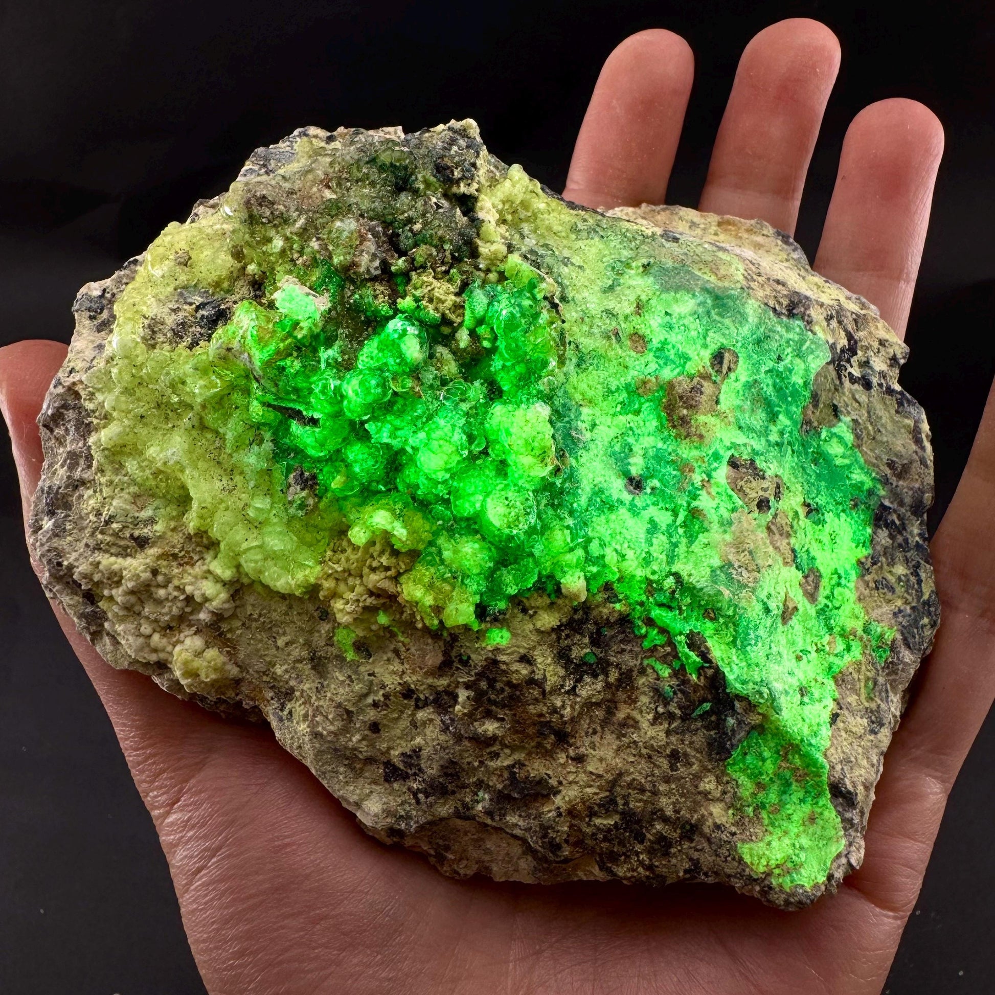 UV Reactive Hyalite Opal | Fluorescent Mineral Specimen from Namibia