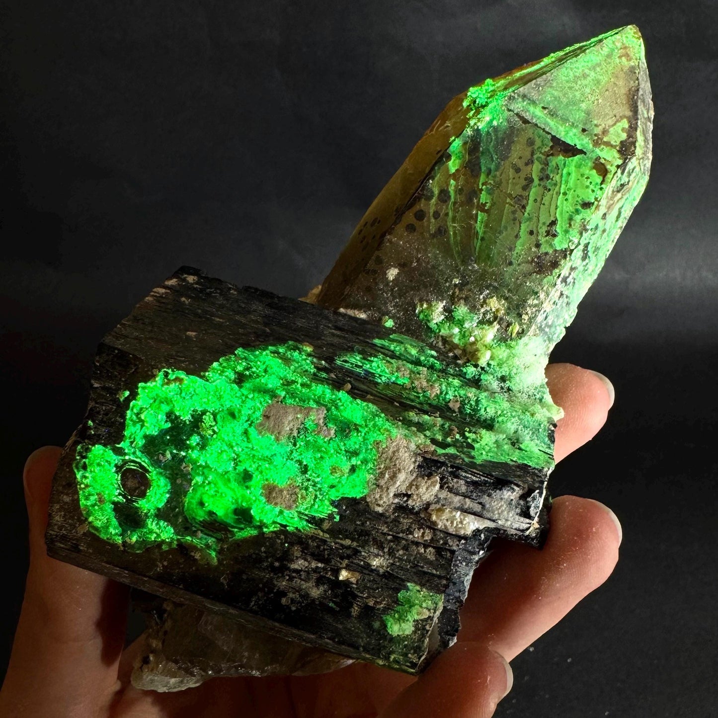 UV Reactive Hyalite Opal w/ Smoky Quartz & Black Tourmaline | Fluorescent Mineral Specimen from Namibia