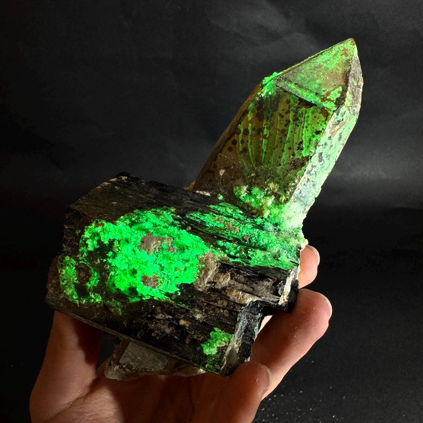 UV Reactive Hyalite Opal w/ Smoky Quartz & Black Tourmaline | Fluorescent Mineral Specimen from Namibia