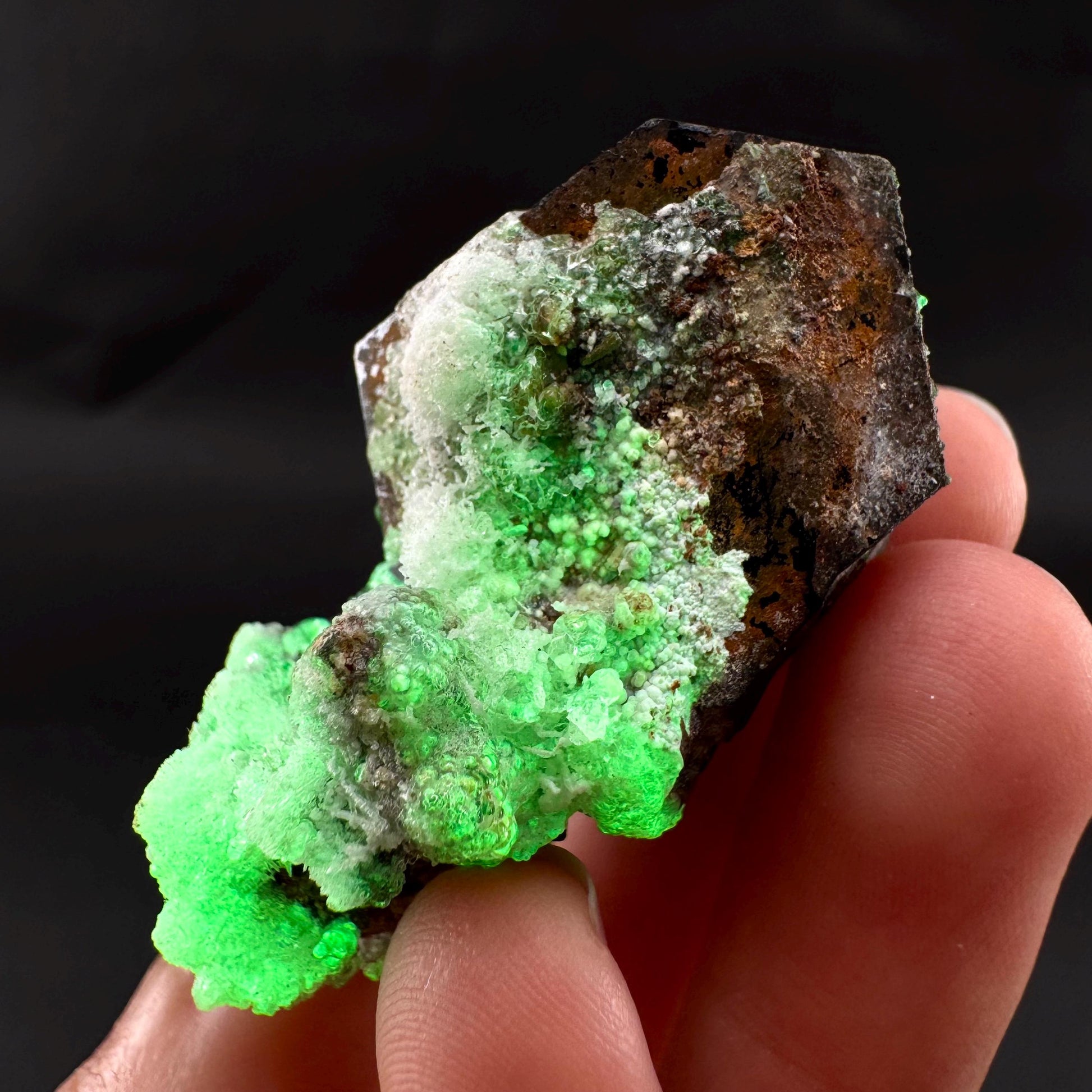UV Reactive Hyalite Opal w/ Smoky Quartz & Black Tourmaline | Fluorescent Mineral Specimen from Namibia