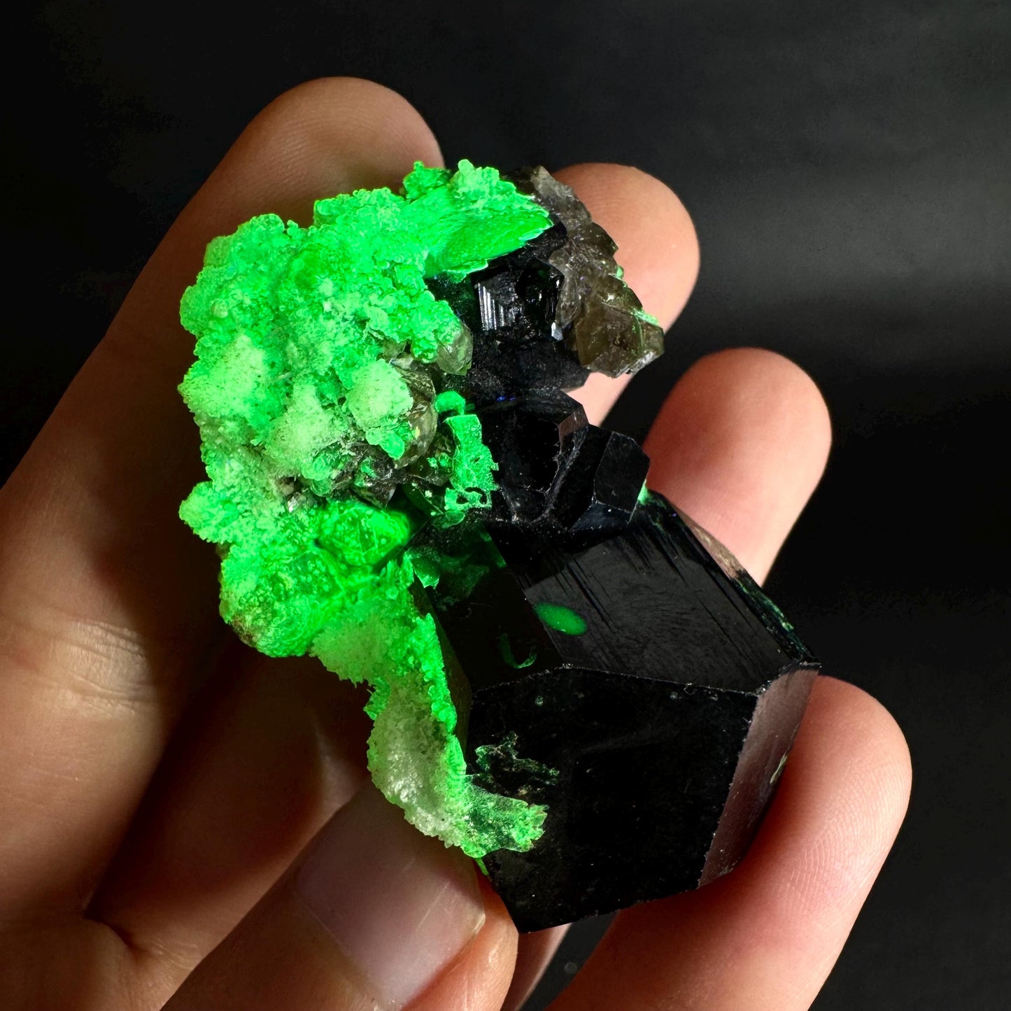 UV Reactive Hyalite Opal w/ Smoky Quartz & Black Tourmaline | Fluorescent Mineral Specimen from Namibia