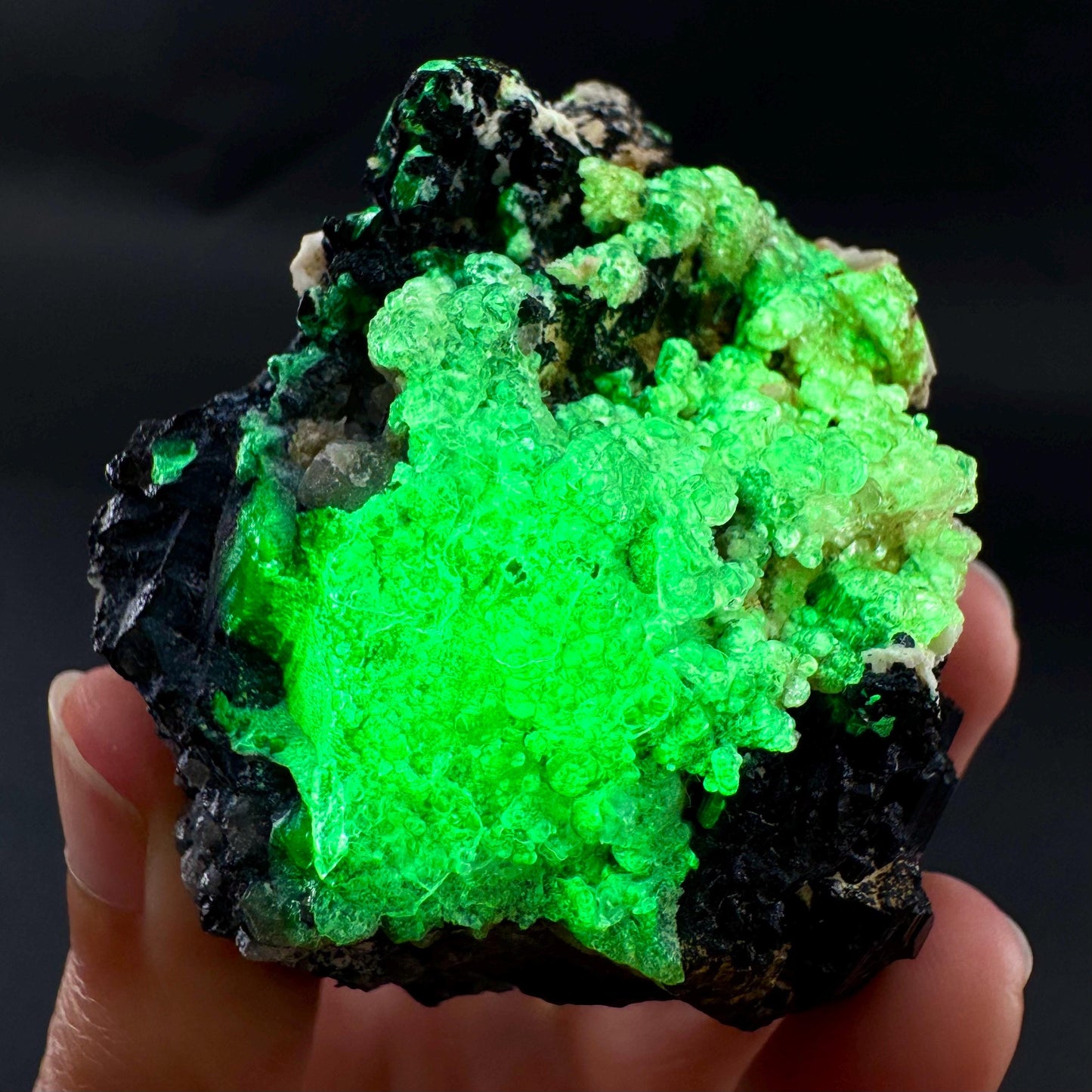 UV Reactive Hyalite Opal on Black Tourmaline | Fluorescent Mineral Specimen from Namibia