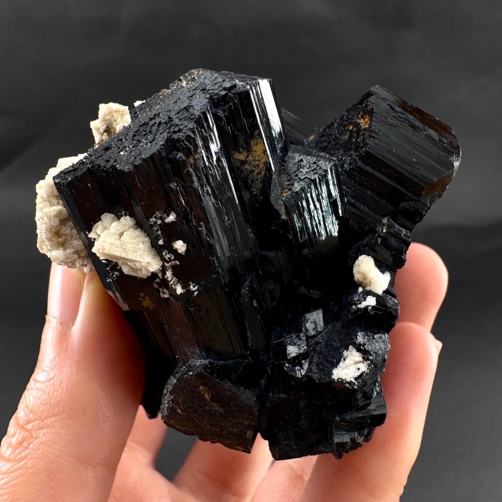 UV Reactive Hyalite Opal on Black Tourmaline | Fluorescent Mineral Specimen from Namibia