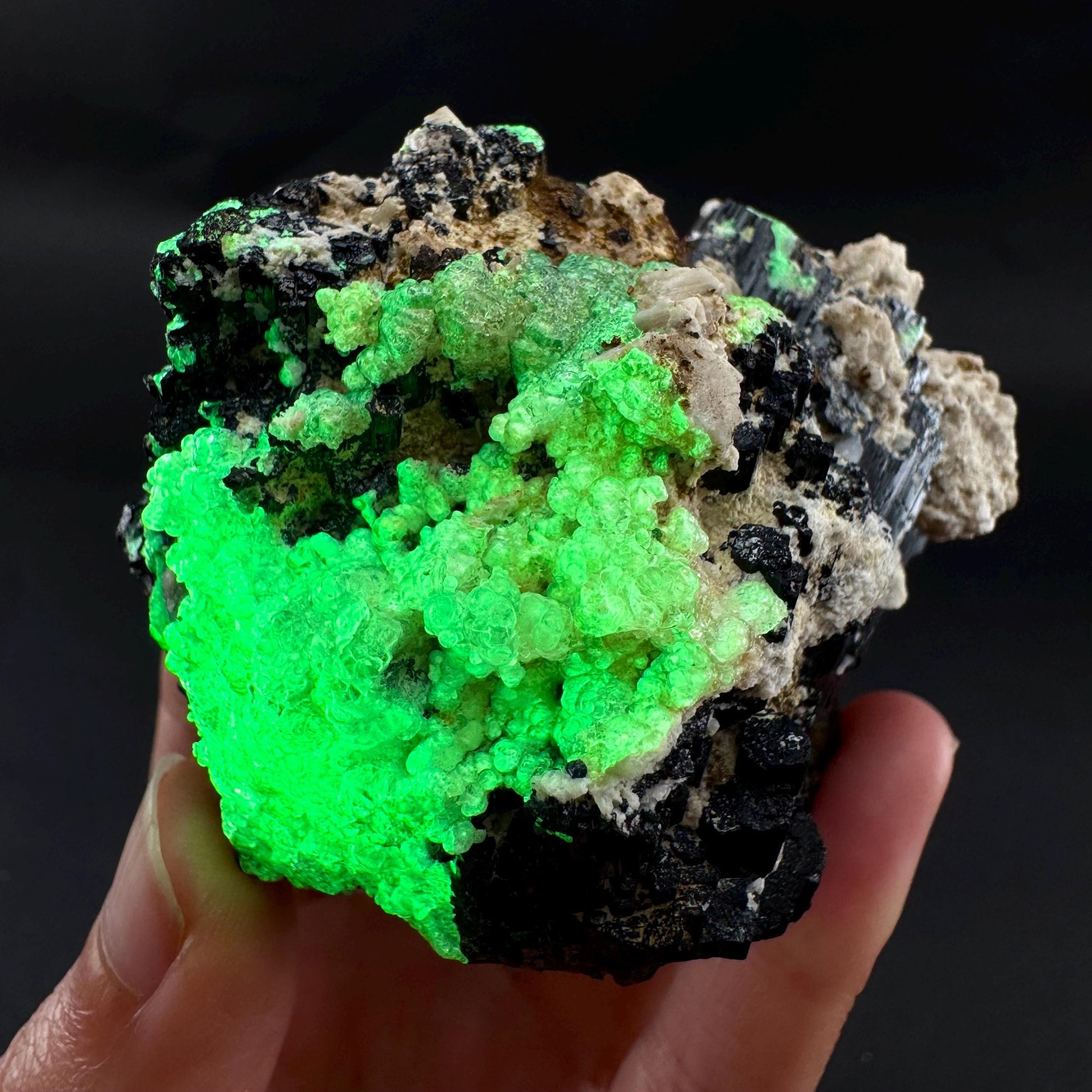 UV Reactive Hyalite Opal on Black Tourmaline | Fluorescent Mineral Specimen from Namibia