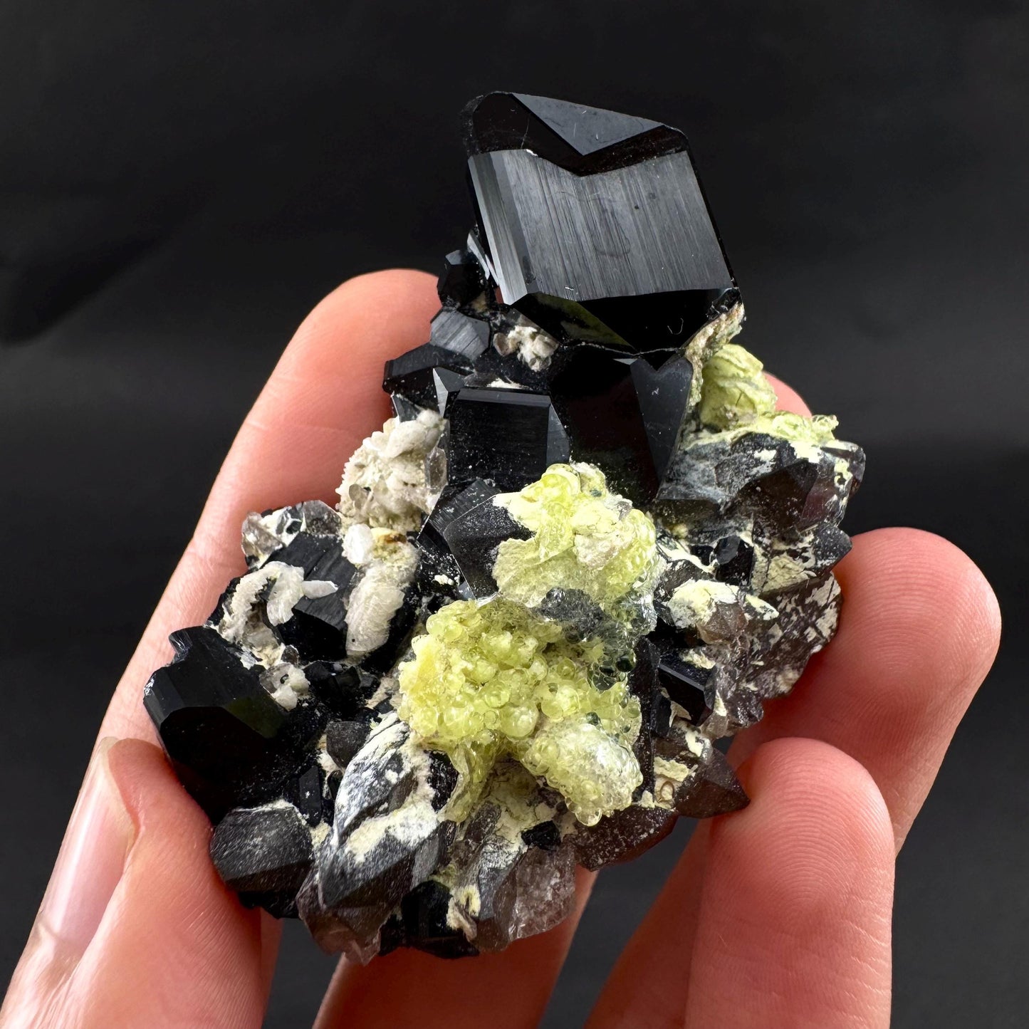 UV Reactive Hyalite Opal on Black Tourmaline | Fluorescent Mineral Specimen from Namibia