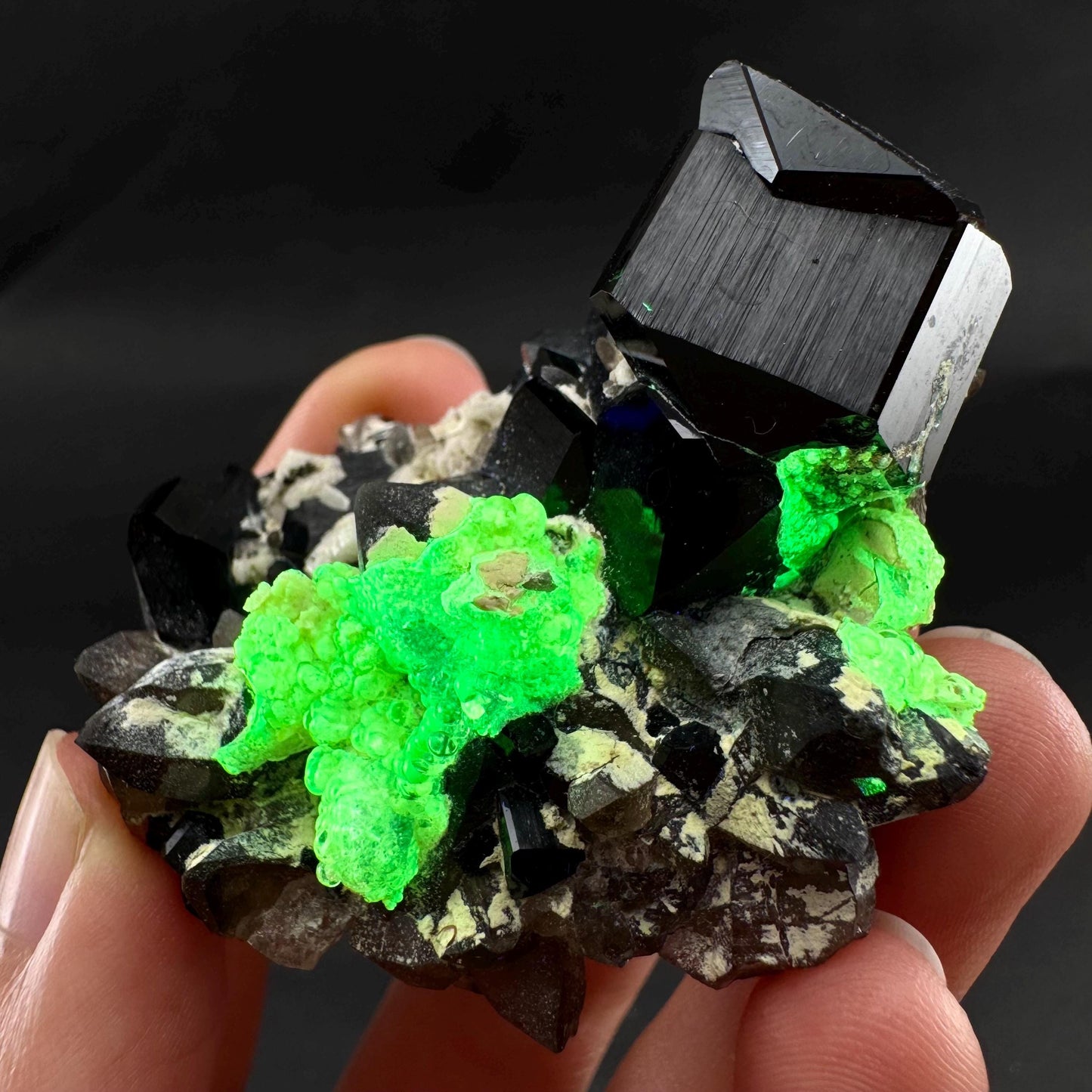 UV Reactive Hyalite Opal on Black Tourmaline | Fluorescent Mineral Specimen from Namibia