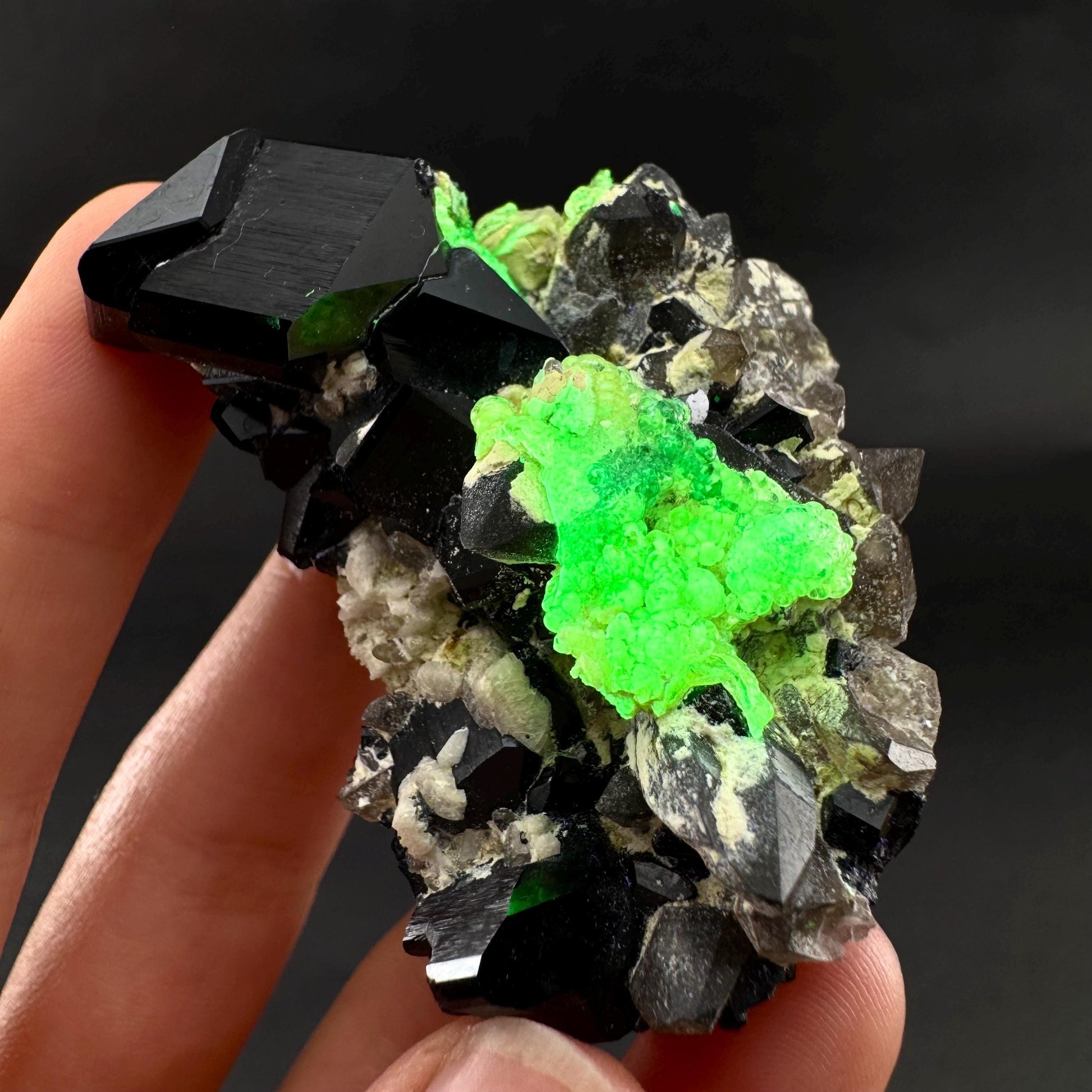 UV Reactive Hyalite Opal on Black Tourmaline | Fluorescent Mineral Specimen from Namibia