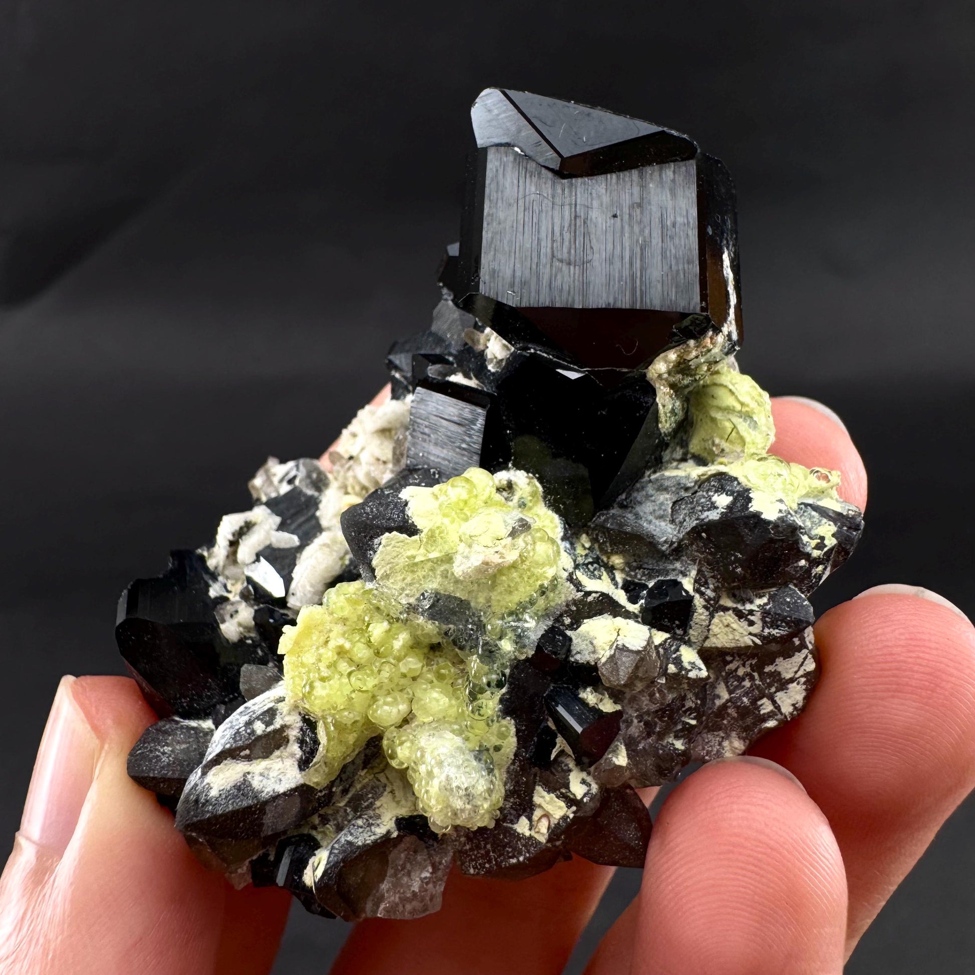 UV Reactive Hyalite Opal on Black Tourmaline | Fluorescent Mineral Specimen from Namibia