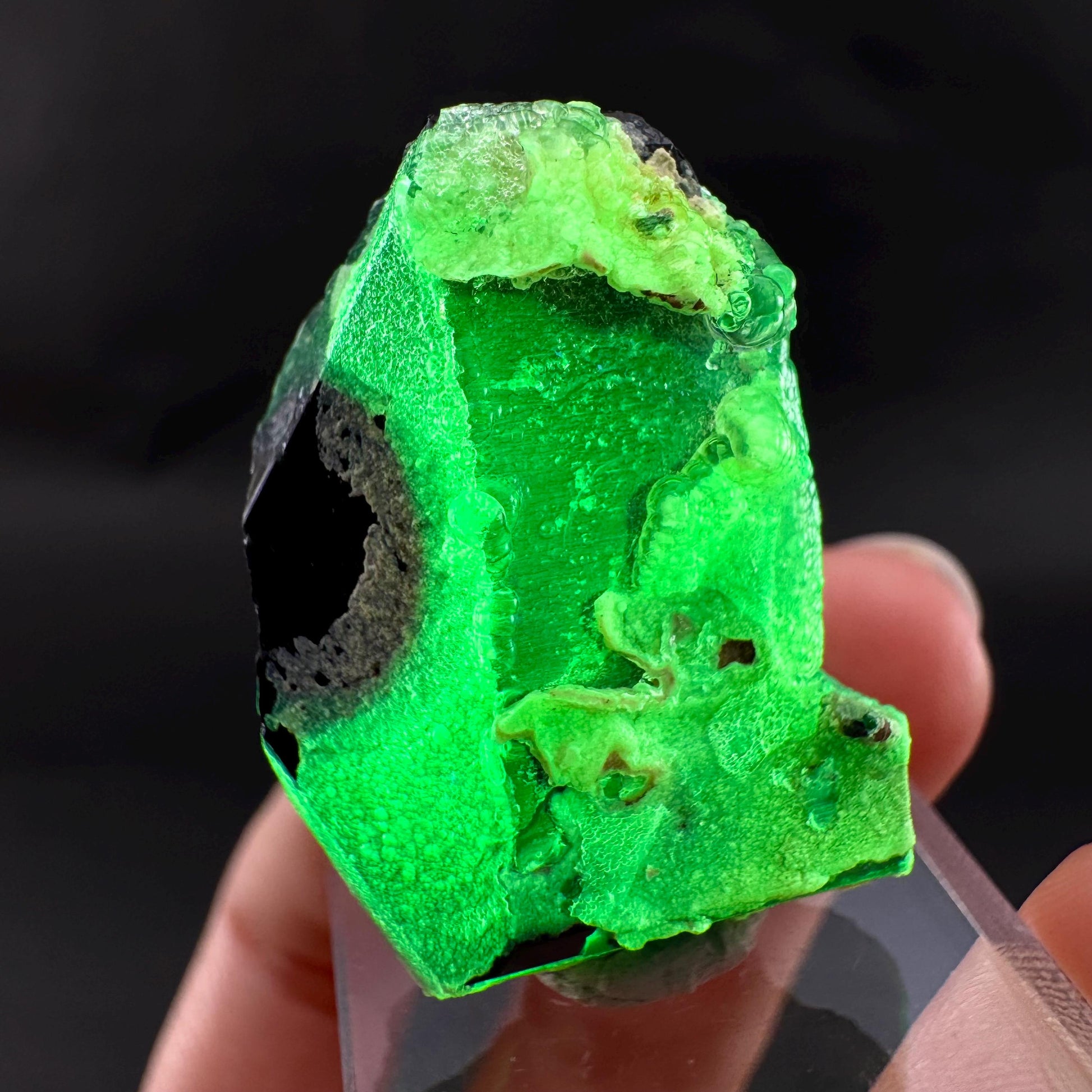 UV Reactive Hyalite Opal on Black Tourmaline | Fluorescent Mineral Specimen from Namibia