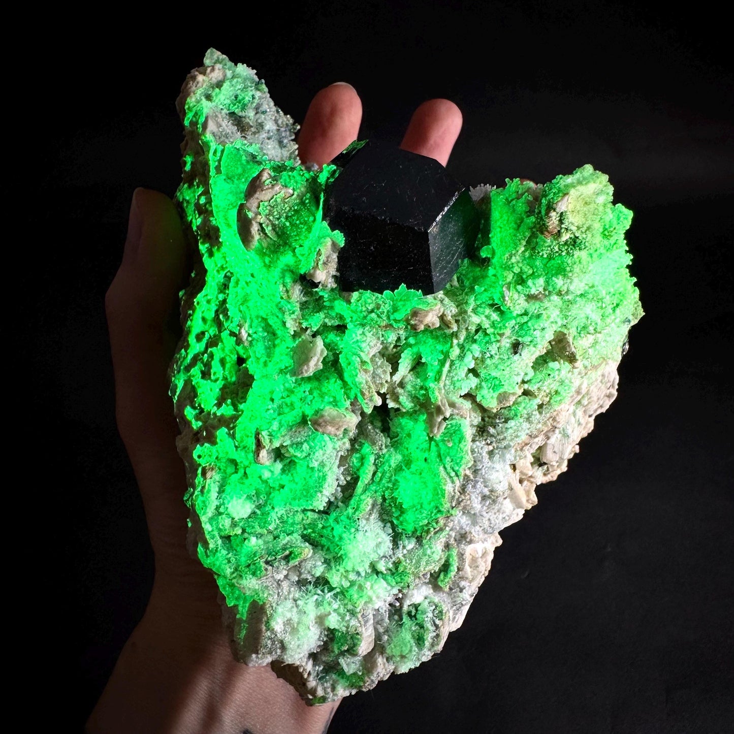 UV Reactive Hyalite Opal w/ Aquamarine & Black Tourmaline | Fluorescent Mineral Specimen from Namibia