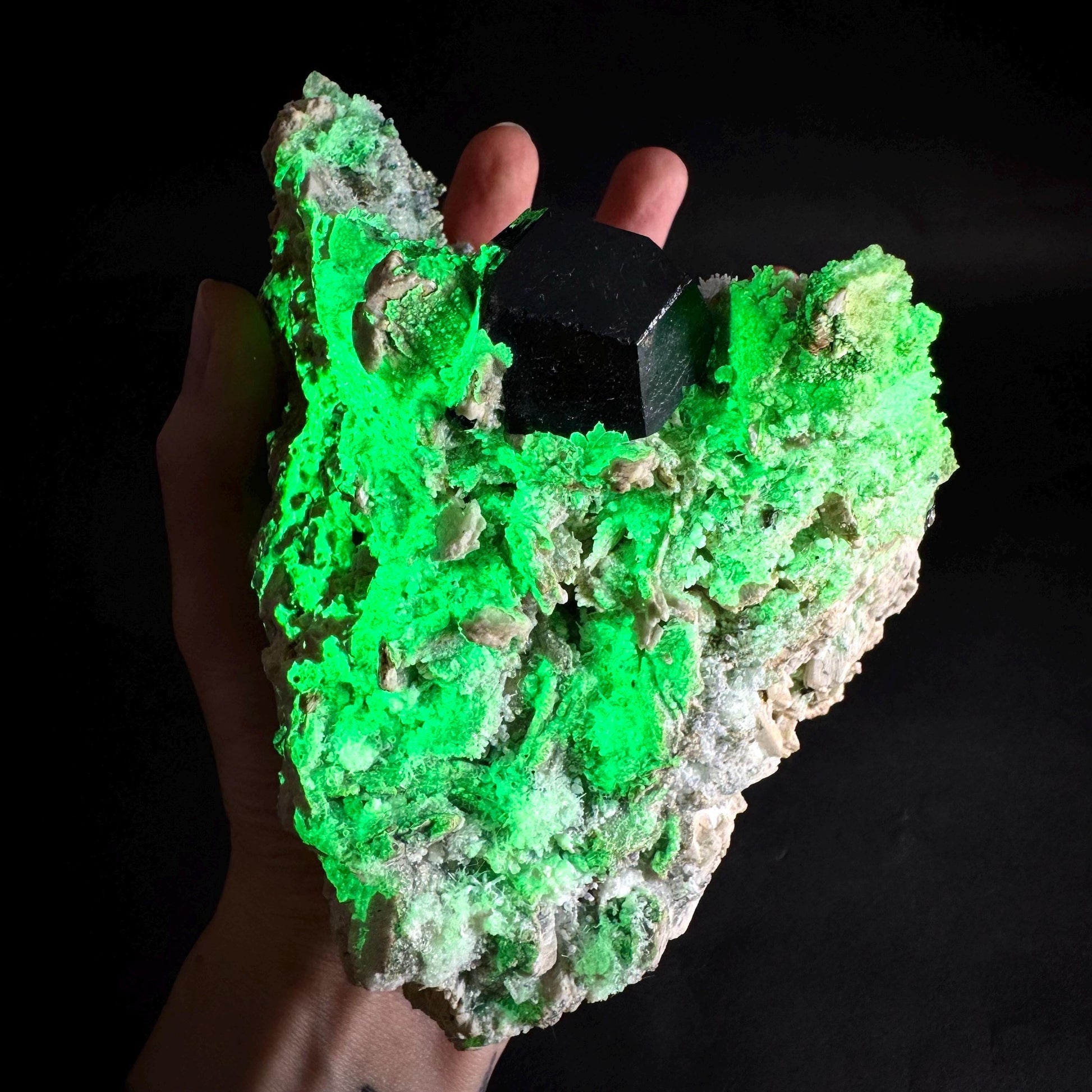 UV Reactive Hyalite Opal w/ Aquamarine & Black Tourmaline | Fluorescent Mineral Specimen from Namibia