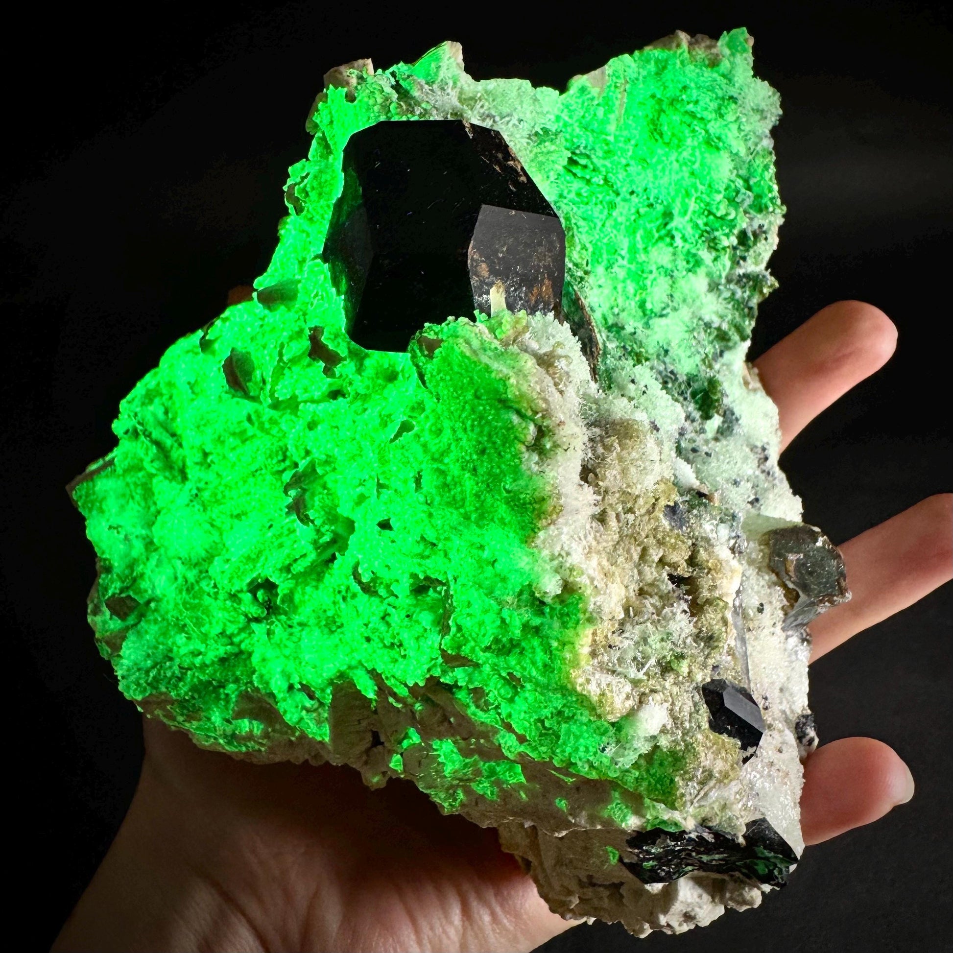 UV Reactive Hyalite Opal w/ Aquamarine & Black Tourmaline | Fluorescent Mineral Specimen from Namibia