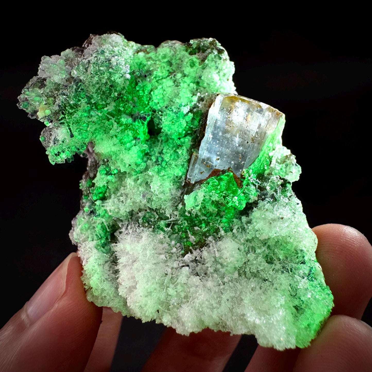 UV Reactive Hyalite Opal with Aquamarine | Fluorescent Mineral Specimen from Namibia