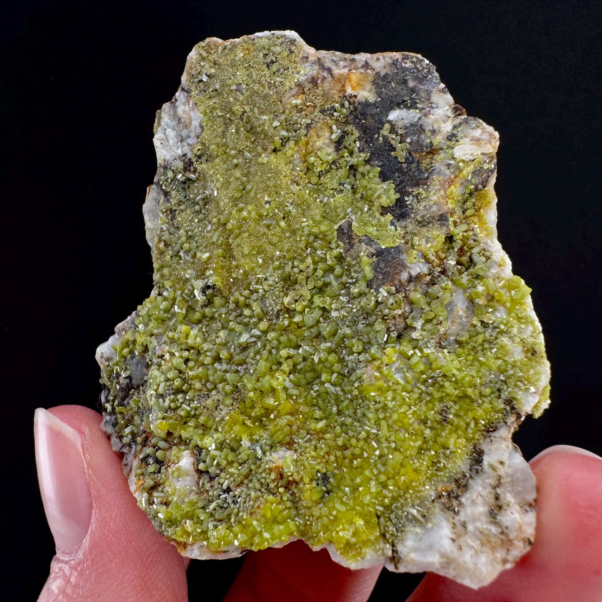 Pyromorphite (Bunker Hill Mine, Idaho) | green pyromorphite crystal, rare mineral specimen