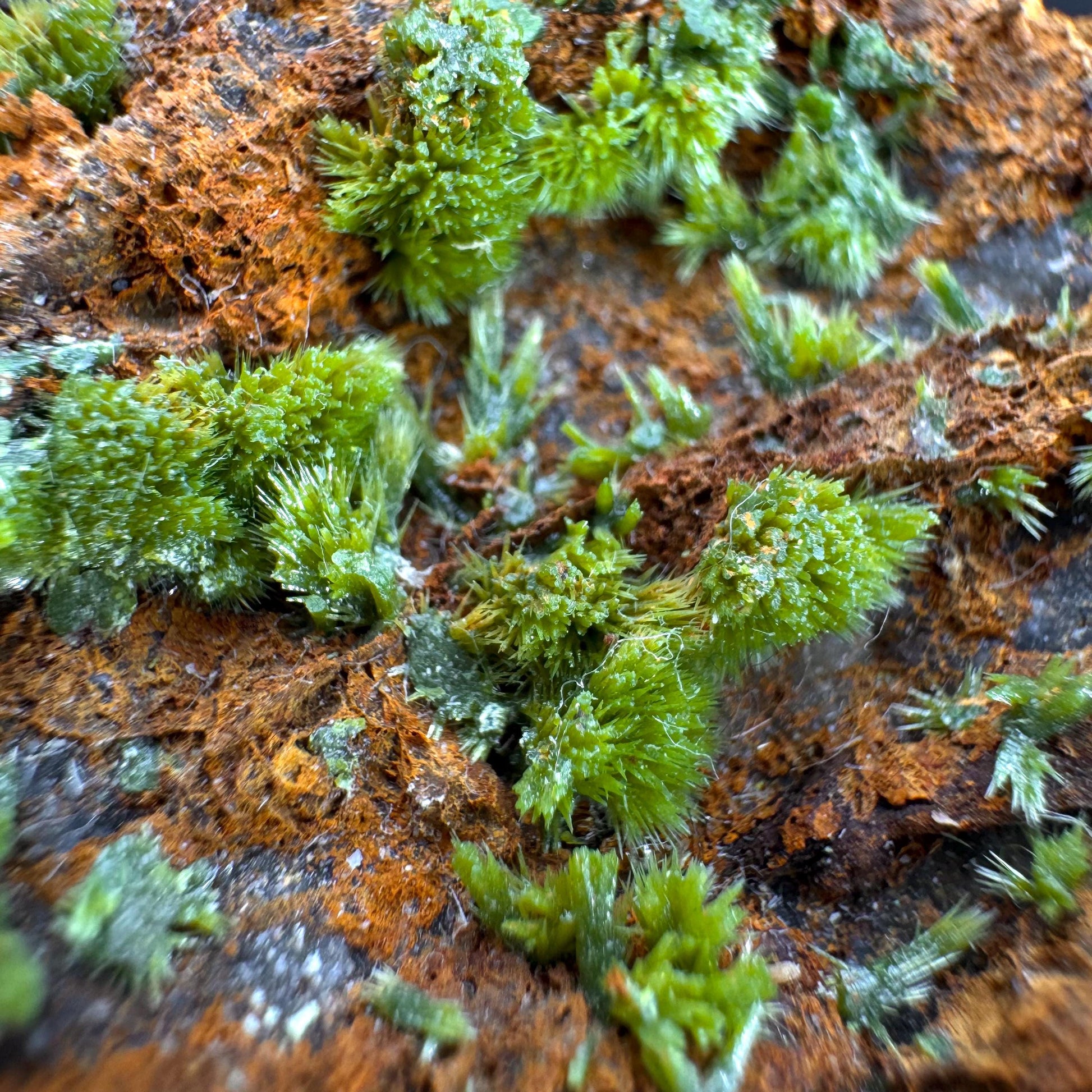 Pyromorphite | green pyromorphite crystal, rare mineral specimen from France