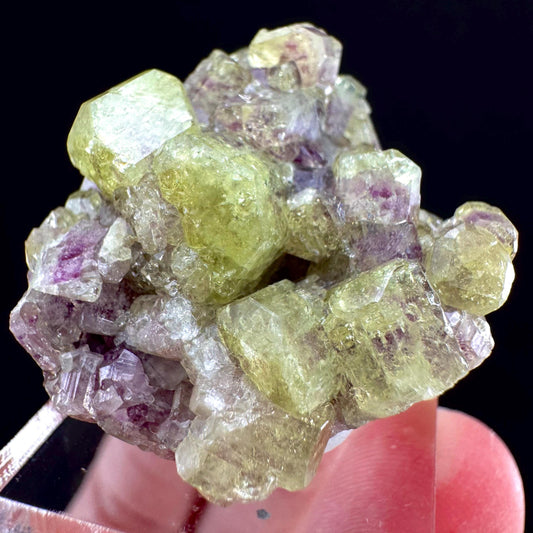 Vesuvianite (Canada) | green & purple vesuvianite crystal, rare mineral specimen