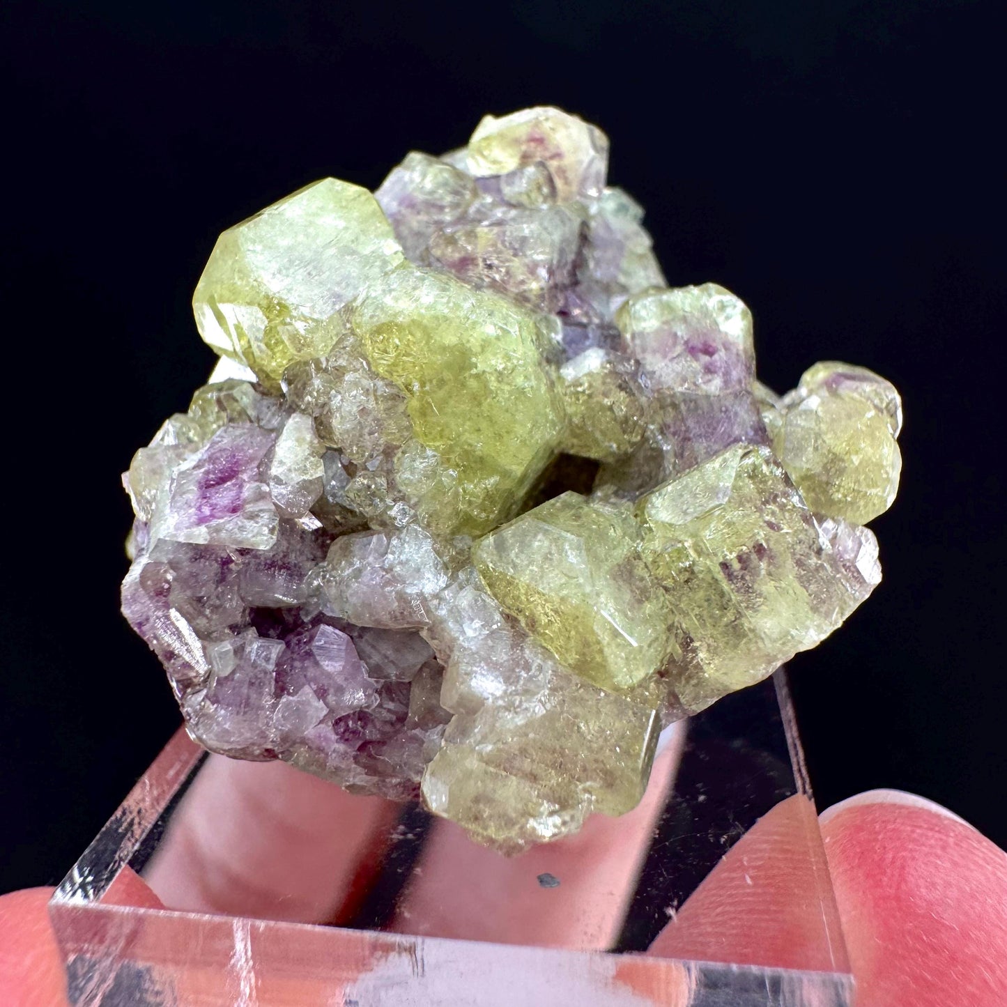 Vesuvianite (Canada) | green & purple vesuvianite crystal, rare mineral specimen