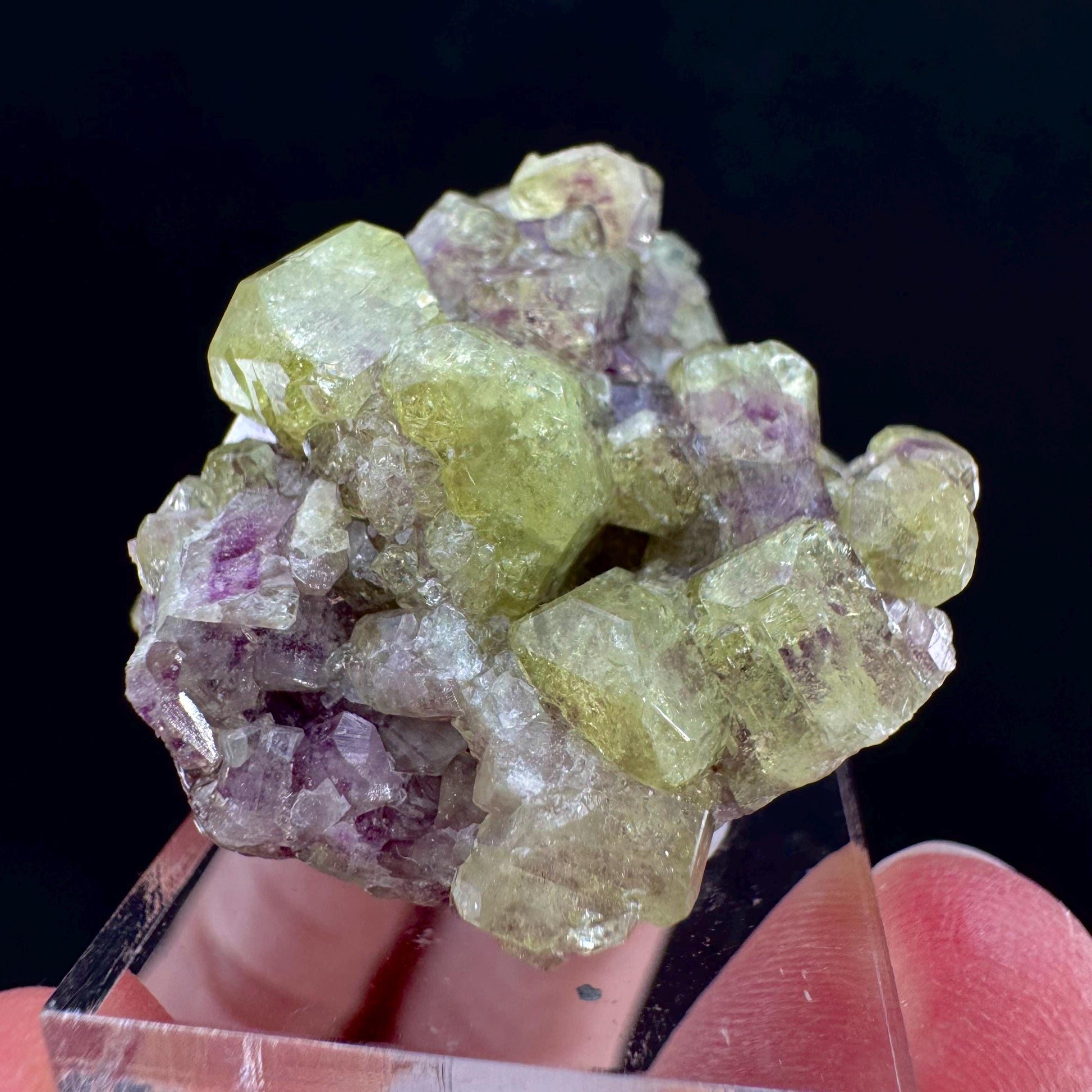 Vesuvianite (Canada) | green & purple vesuvianite crystal, rare mineral specimen